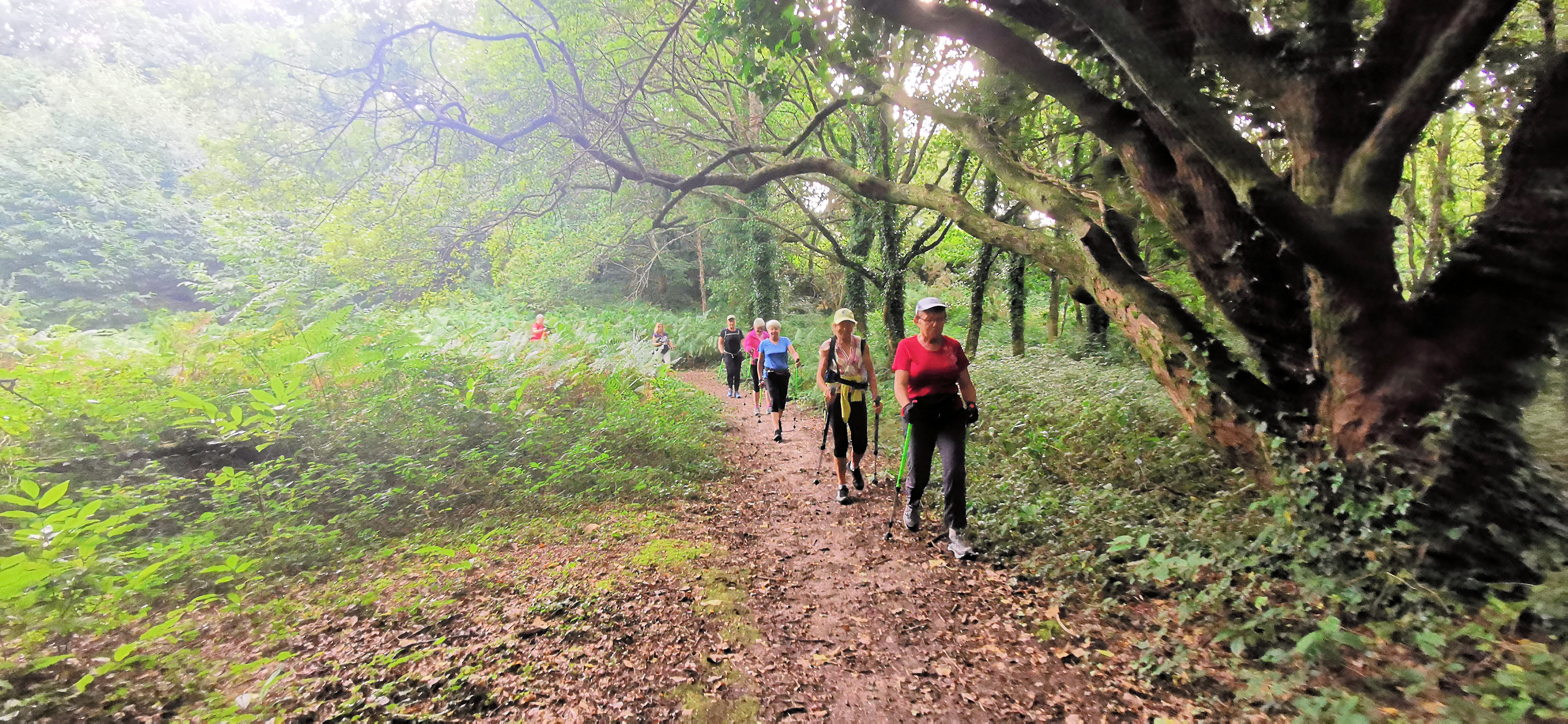 052-IMG_20210817_102109_1