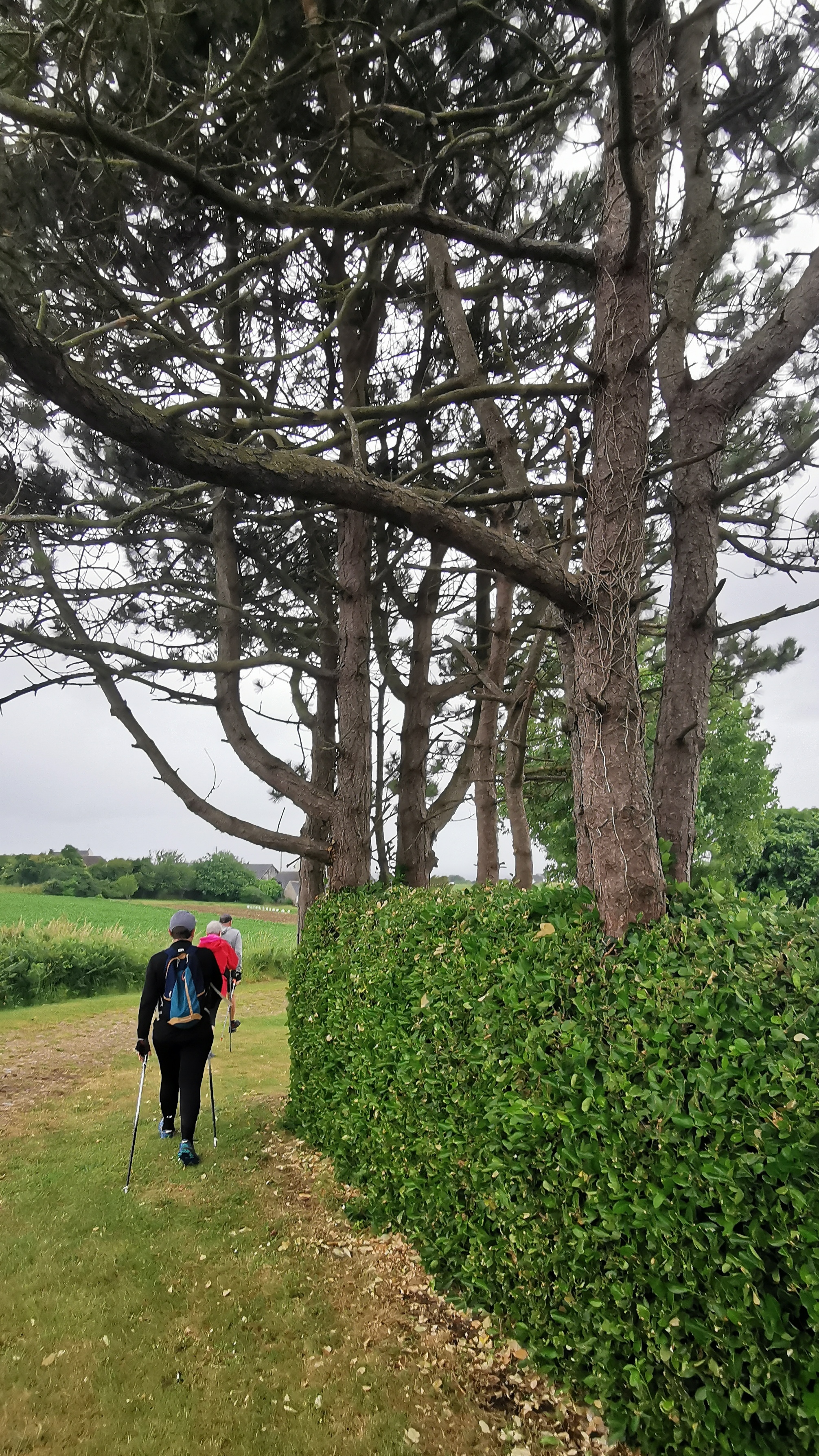 147-IMG_20210620_113003