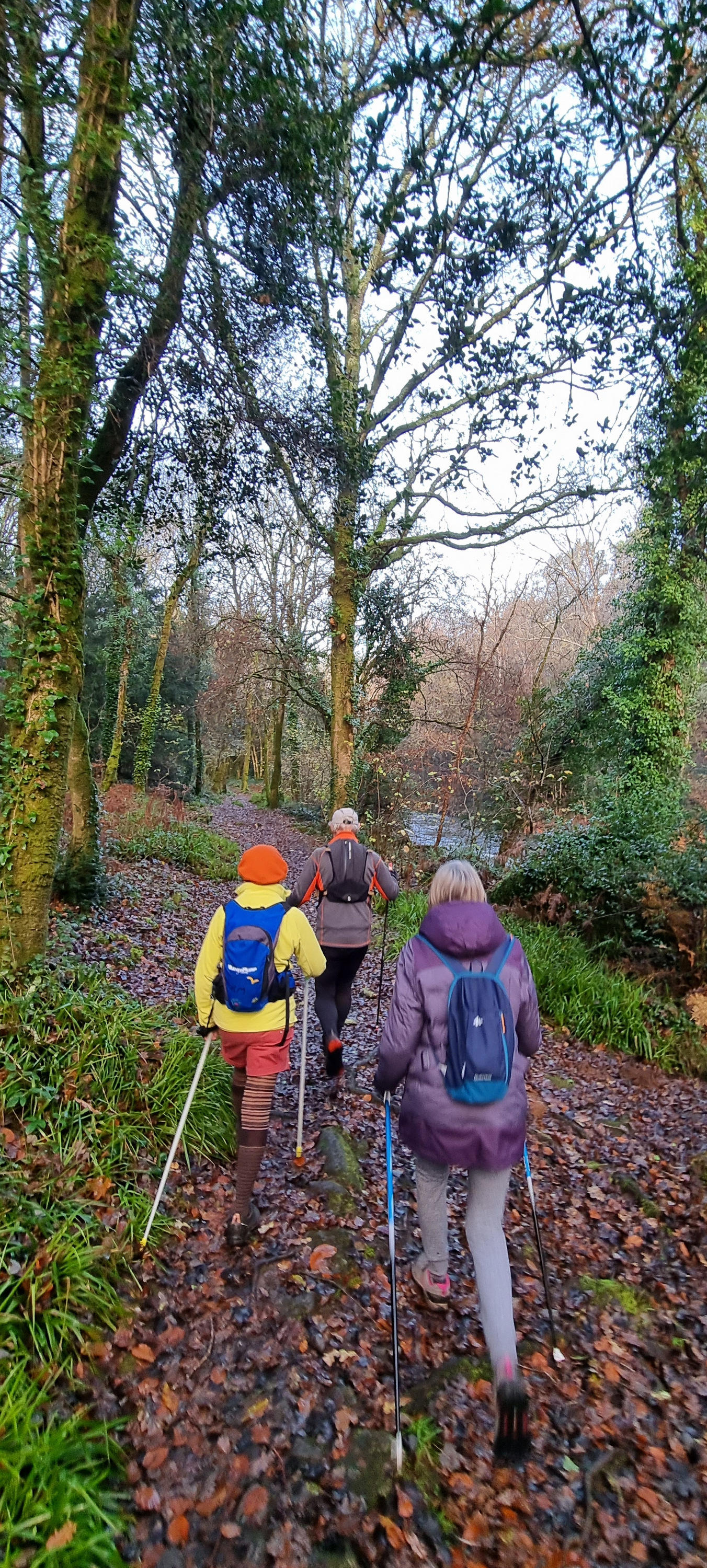 04-20211202_094630(0)