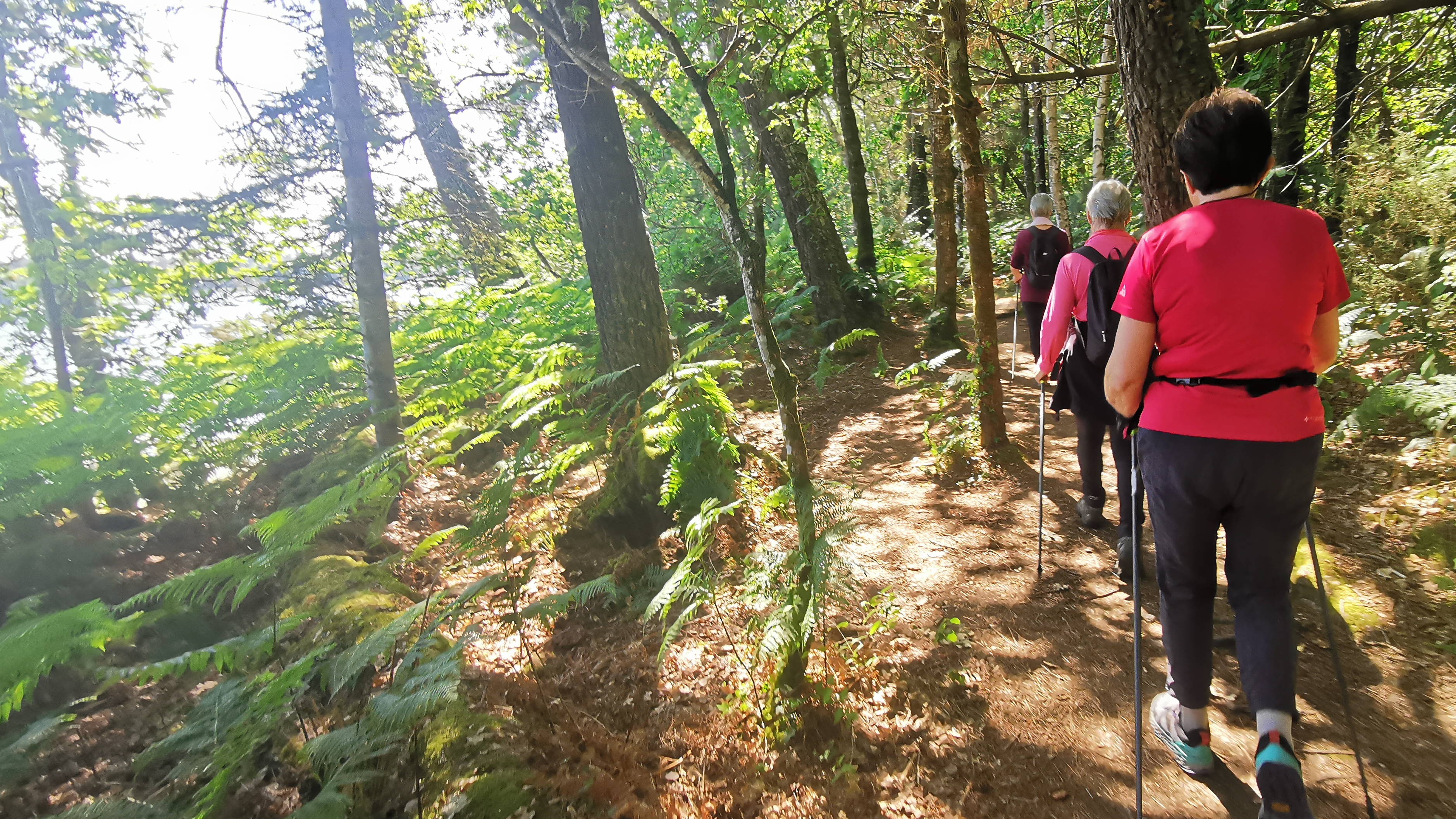 31-IMG_20210614_112252