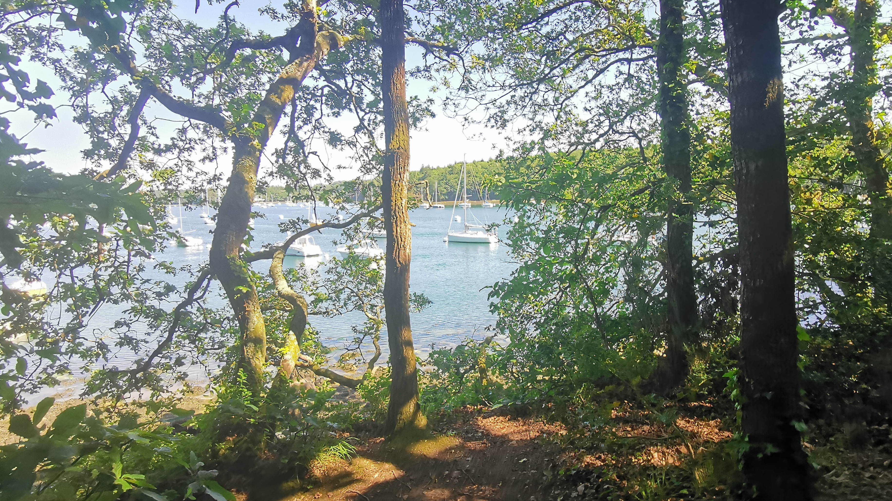 24-IMG_20210614_112058