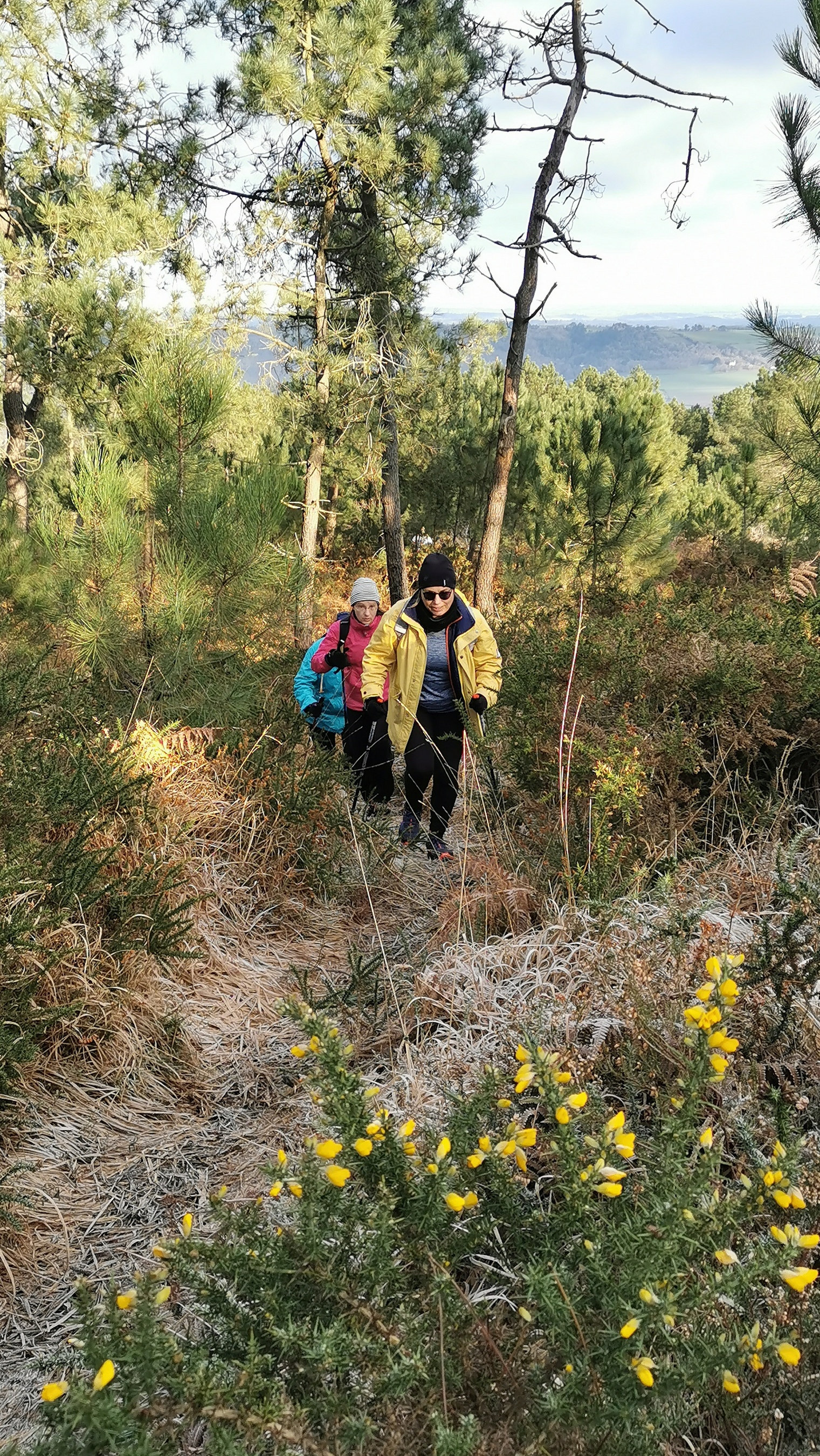 087-IMG_20210110_105448