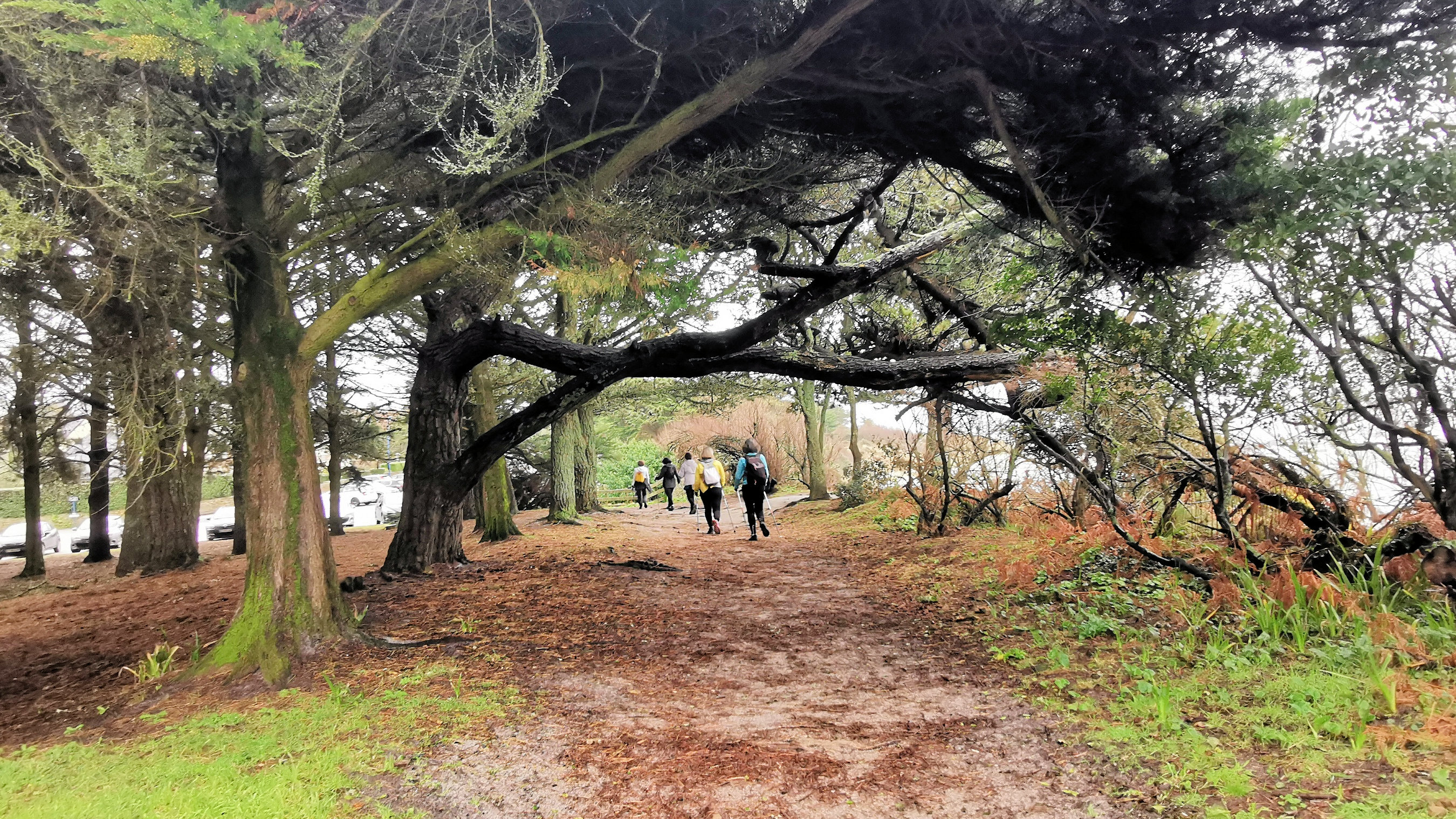 23-IMG_20210221_104653