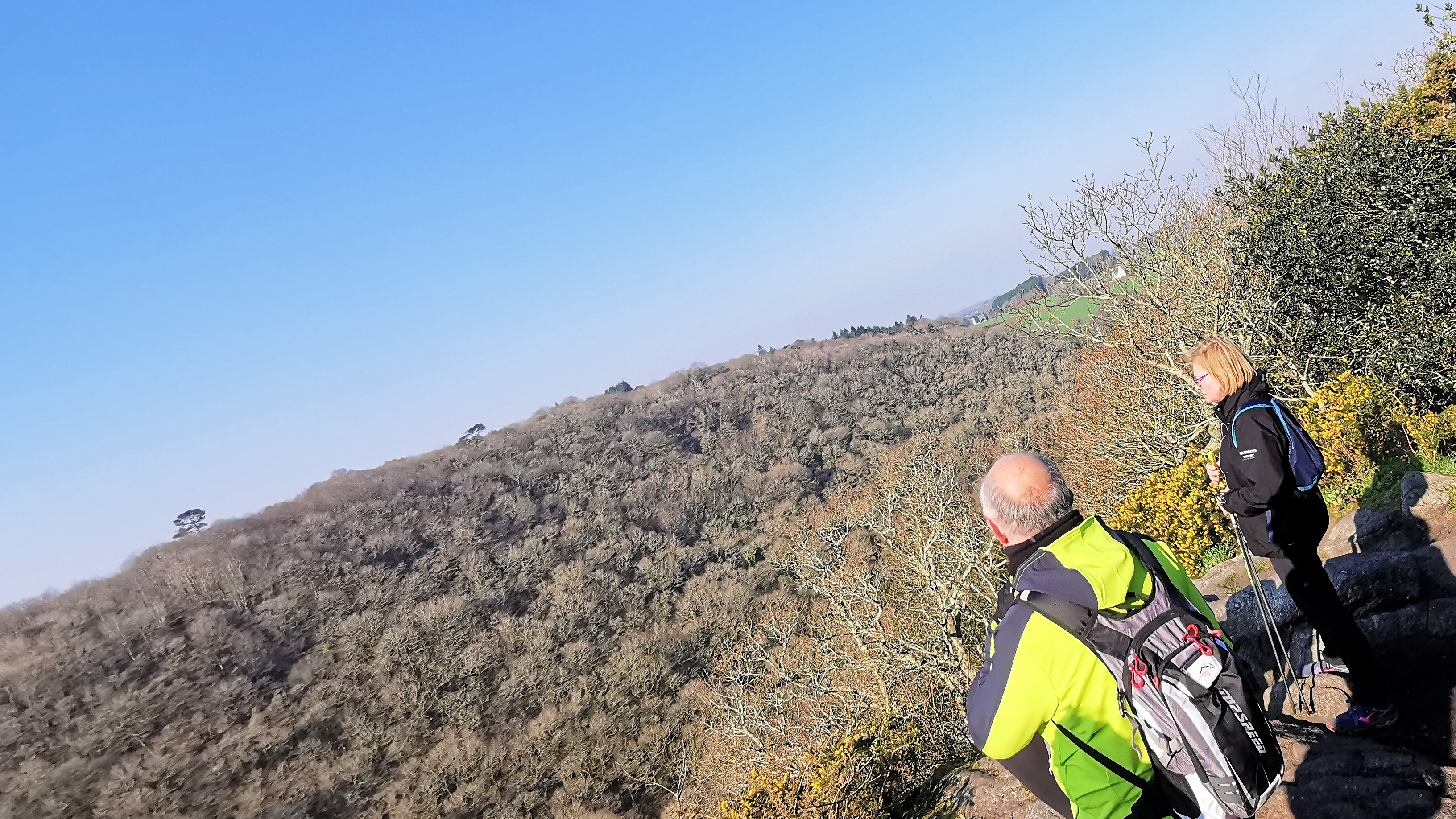 34-IMG_20210307_102546