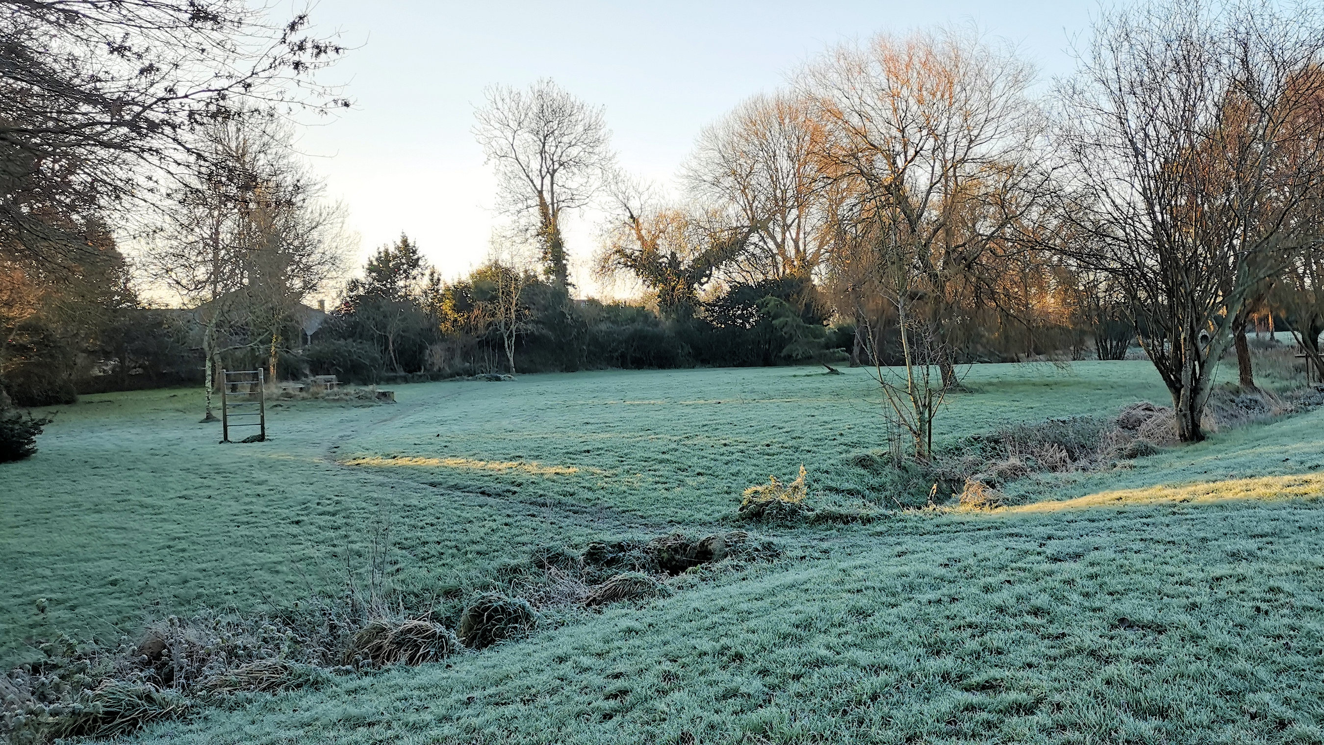 01-IMG_20210109_094312