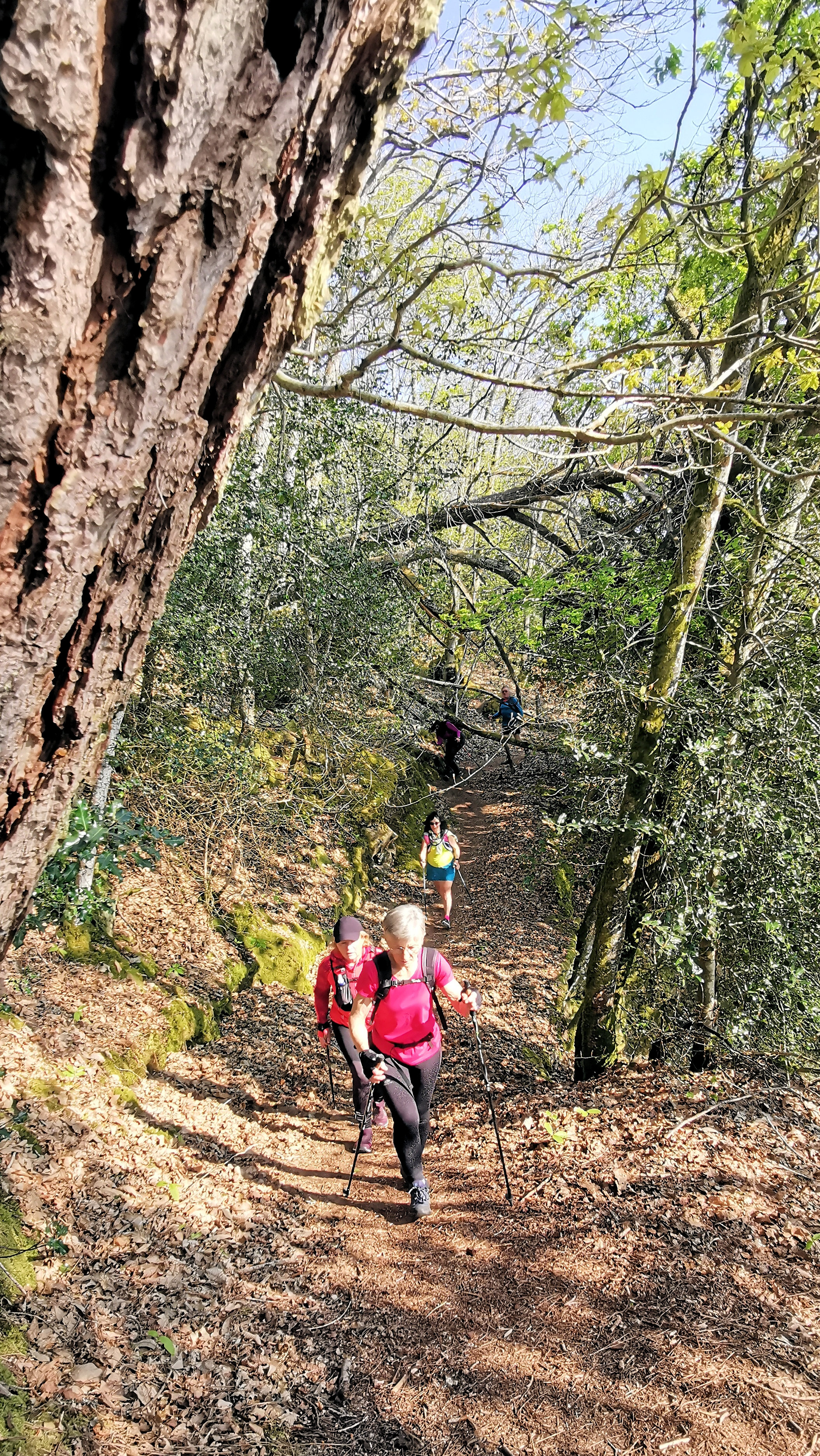 15-IMG_20210422_103314