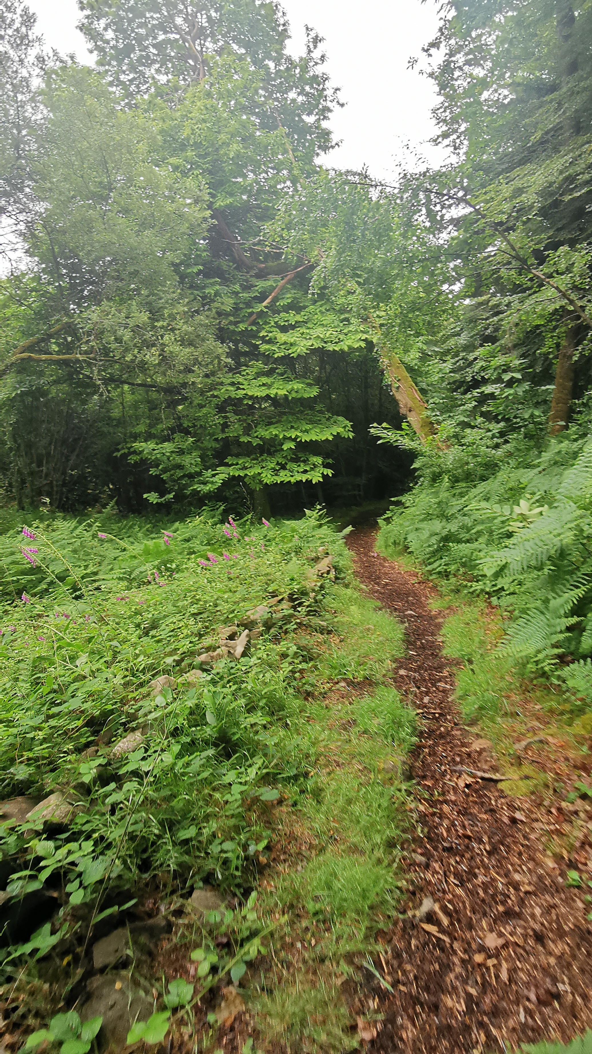 34-IMG_20210617_110652