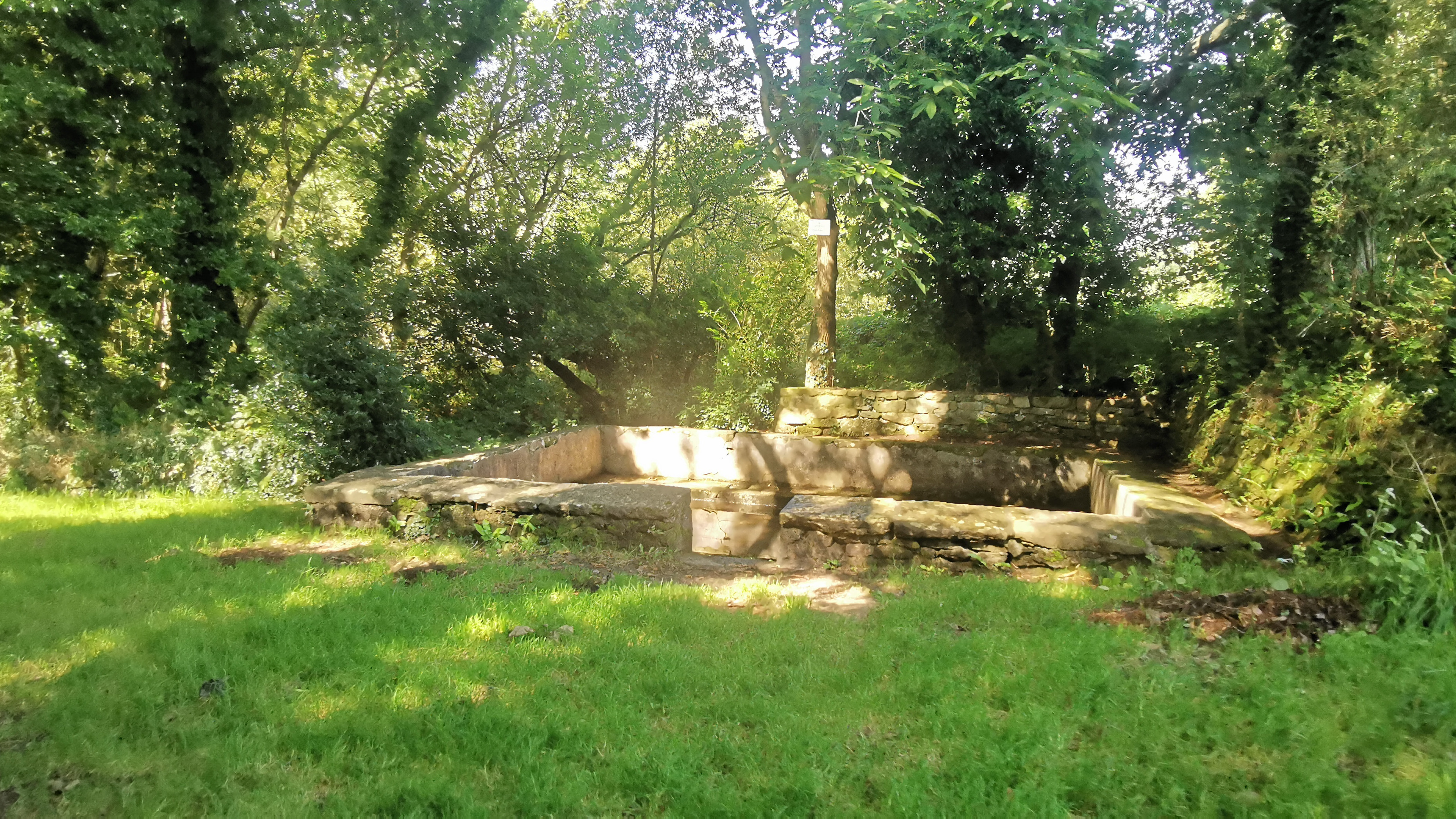 38-IMG_20210812_115102