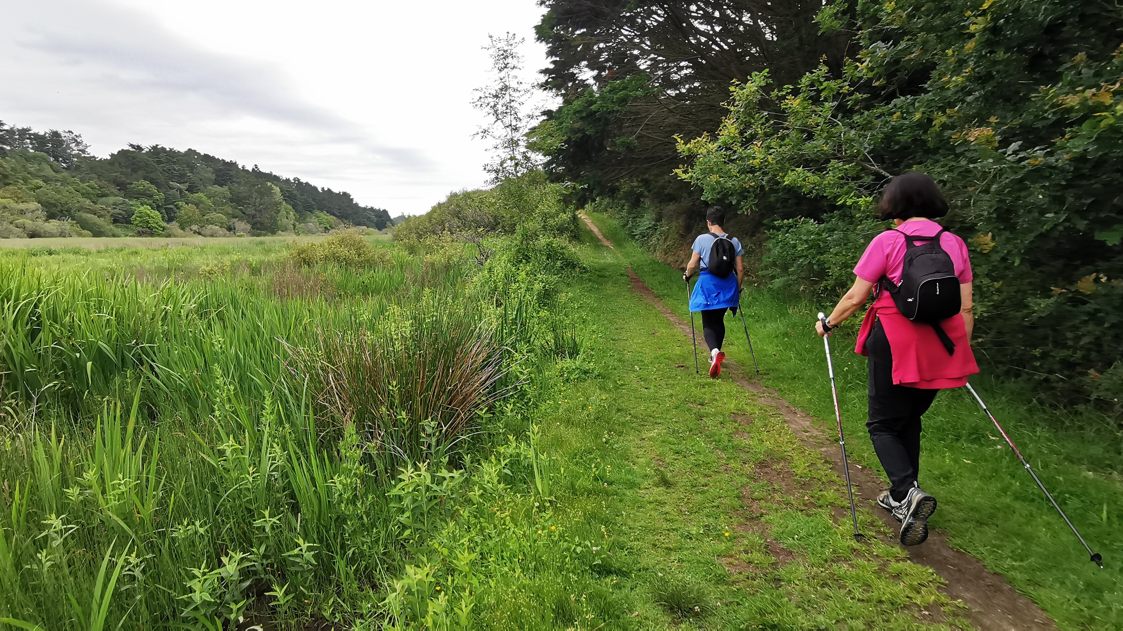 28-IMG_20210619_101329