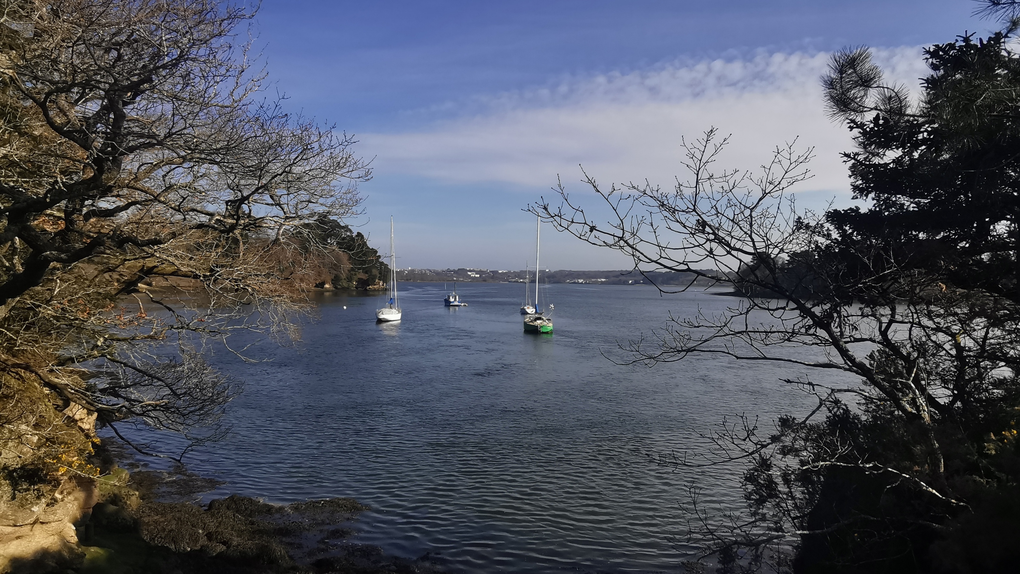 33-IMG_20210318_102801