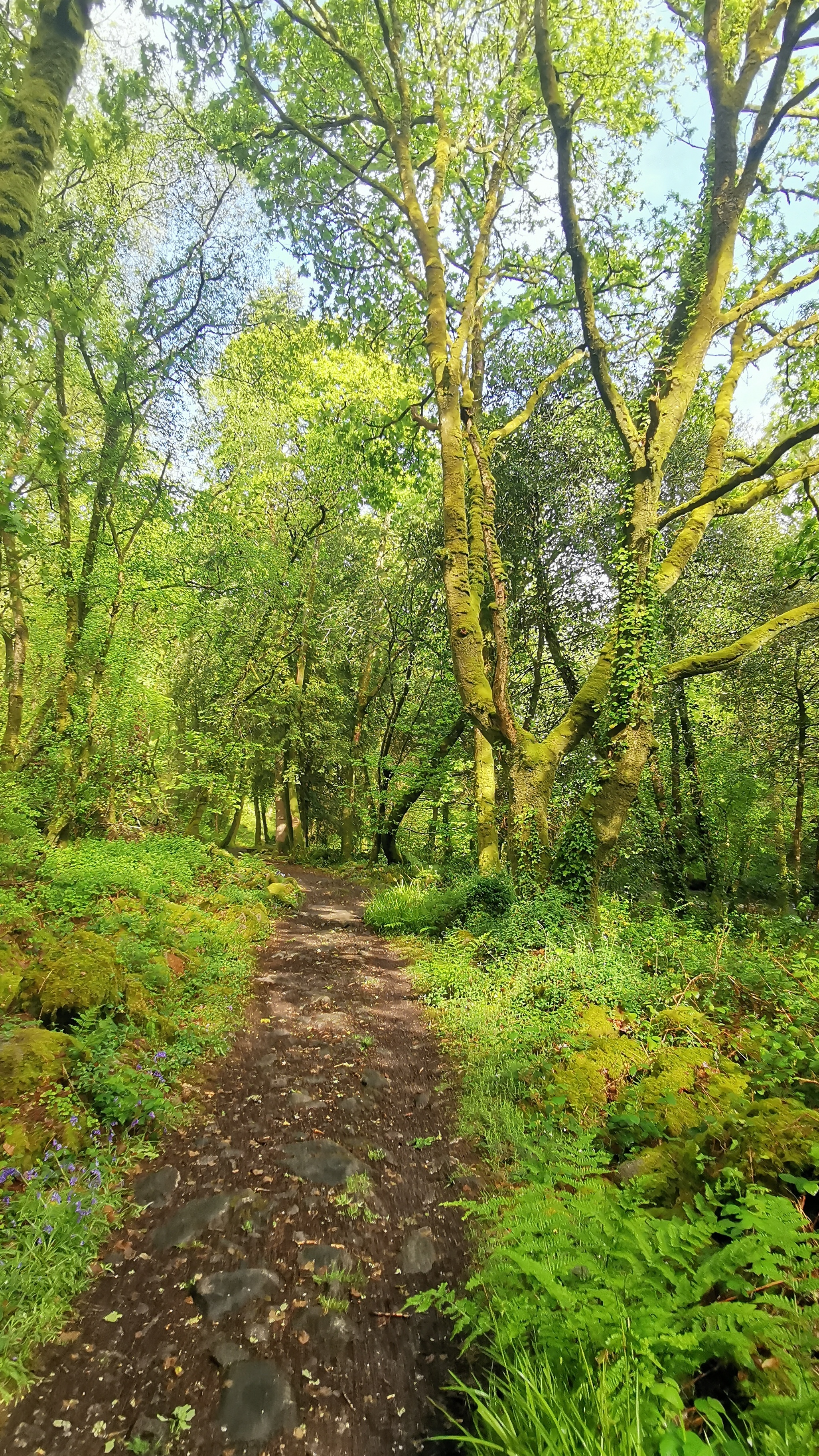 033-IMG_20210513_101703