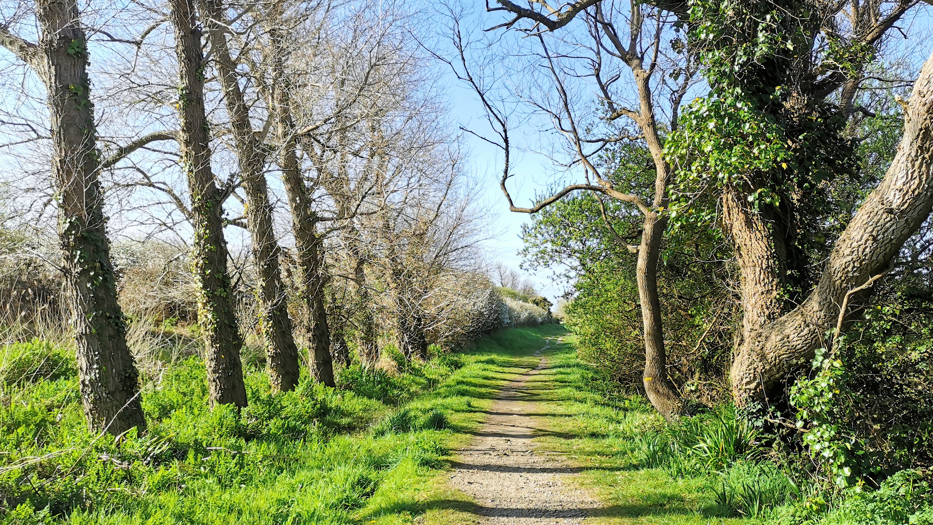 25-IMG_20210403_104315