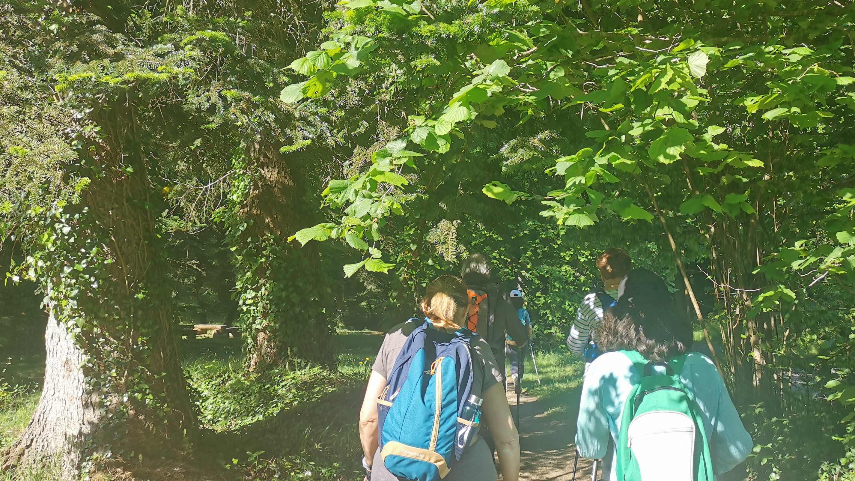 28-IMG_20210531_104732