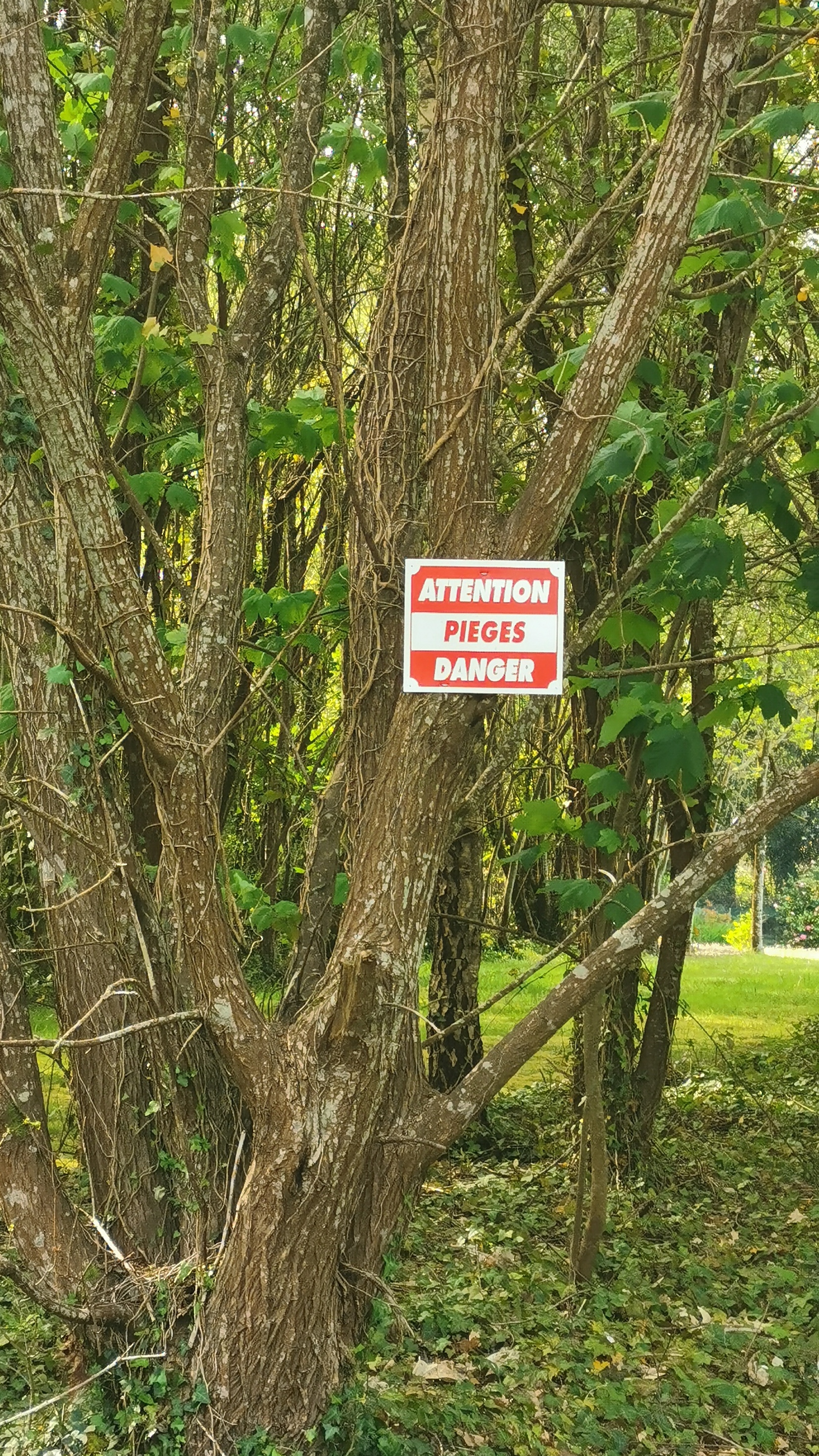 78-IMG_20210425_111735