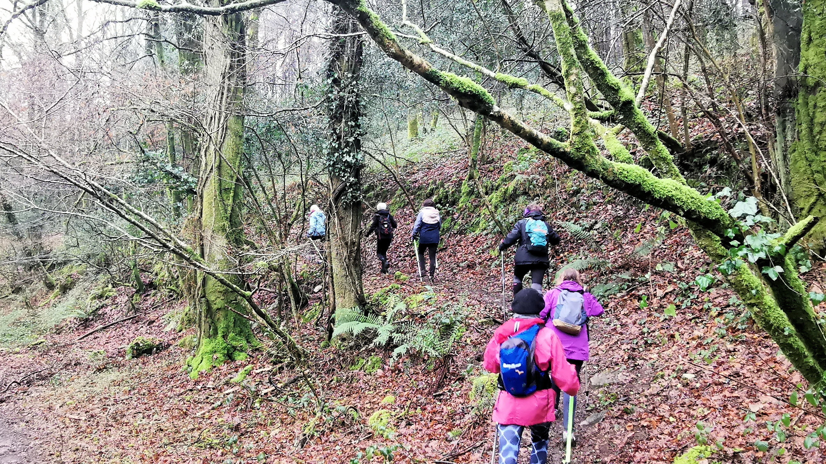 16-IMG_20210119_110439