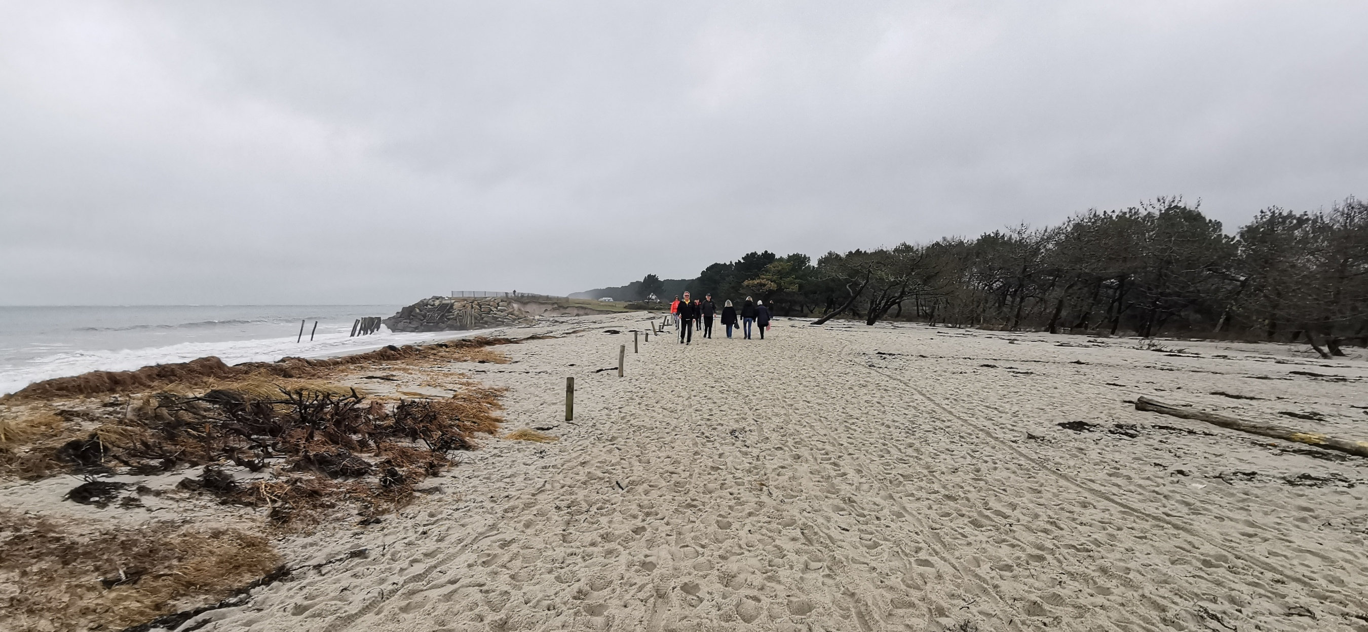 45-IMG_20210221_113303