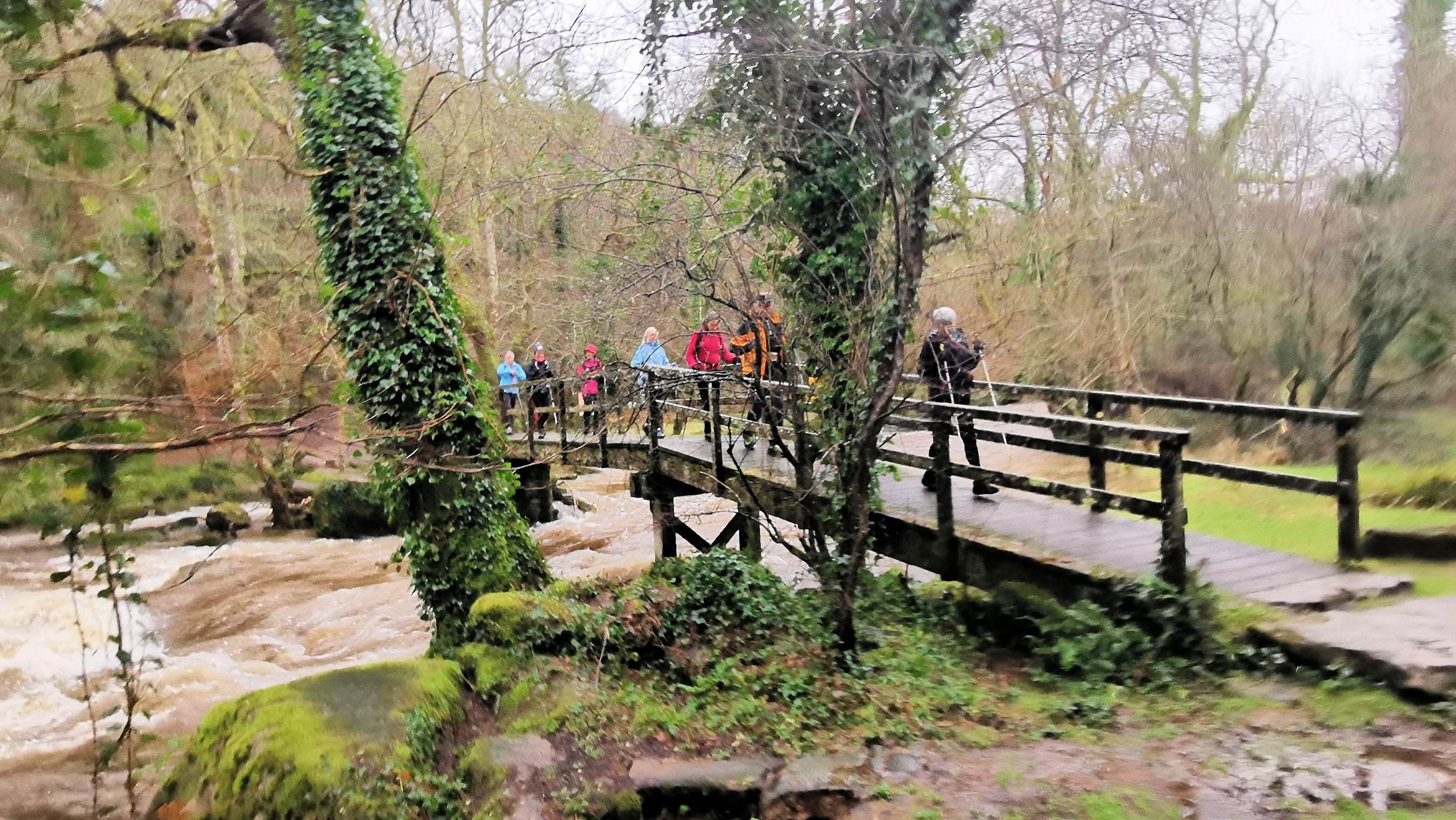 15-IMG_20210121_101117