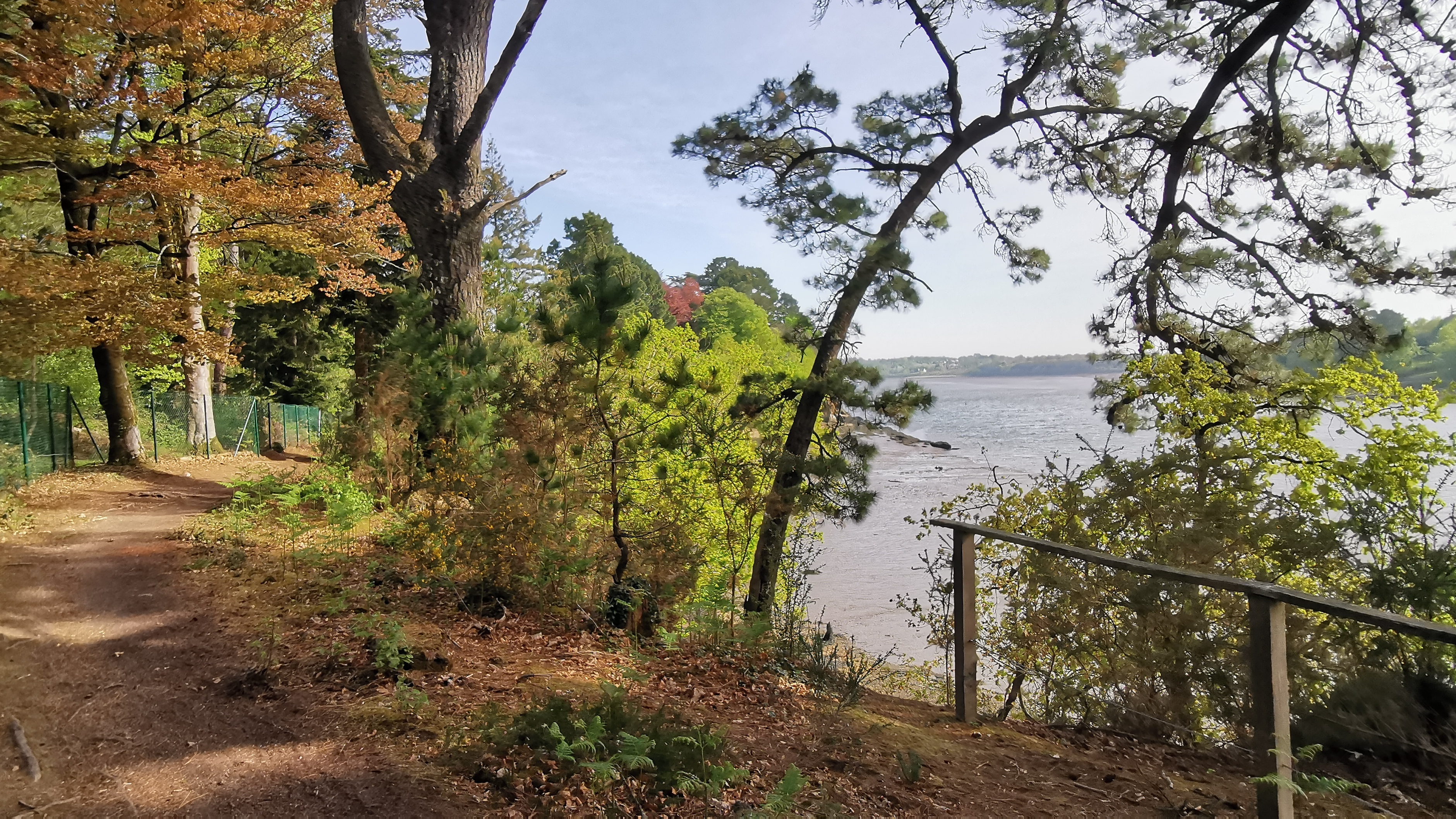 74-IMG_20210425_110858