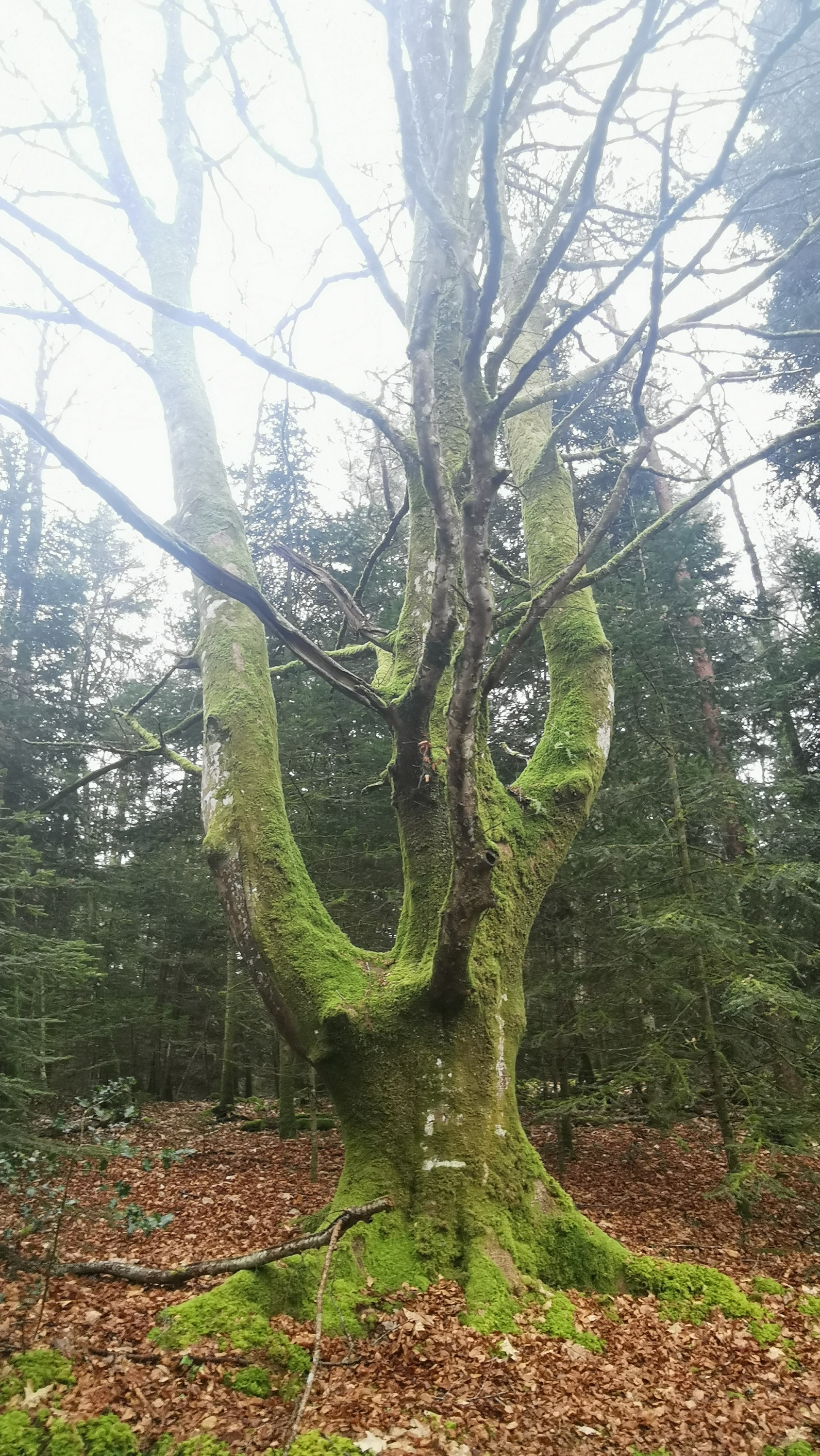 04-IMG_20210304_095421