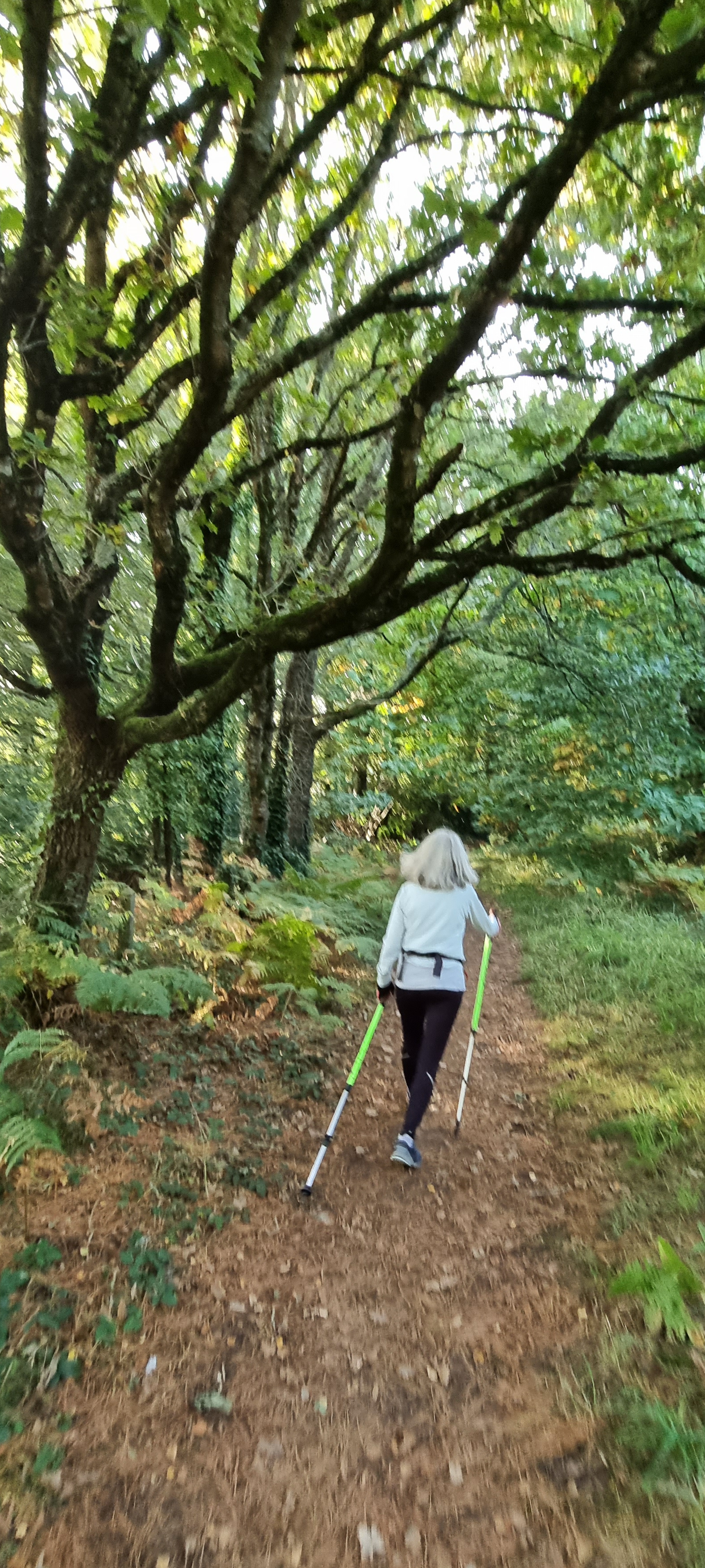 03-20211012_182450(0)