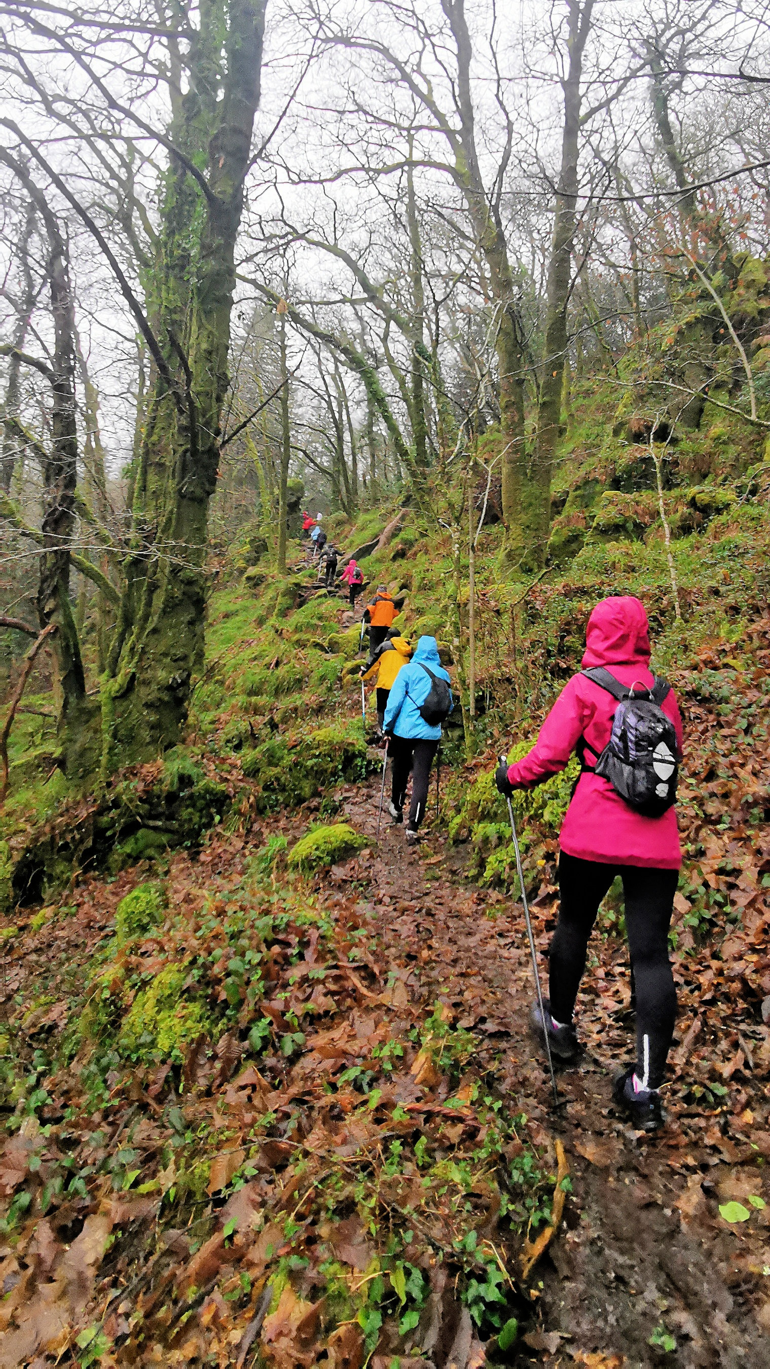 59-IMG_20210121_113052