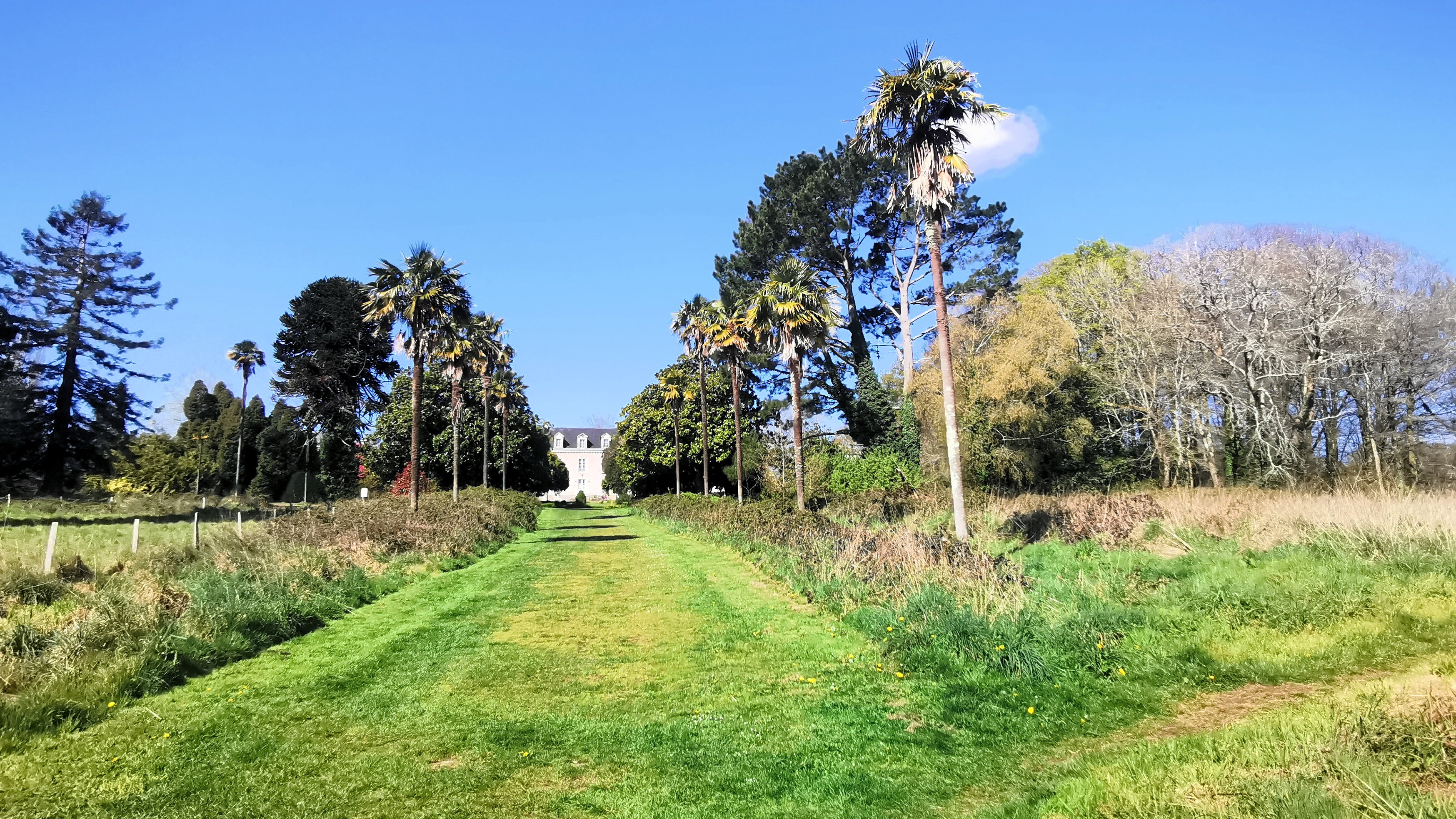 58-IMG_20210412_112413