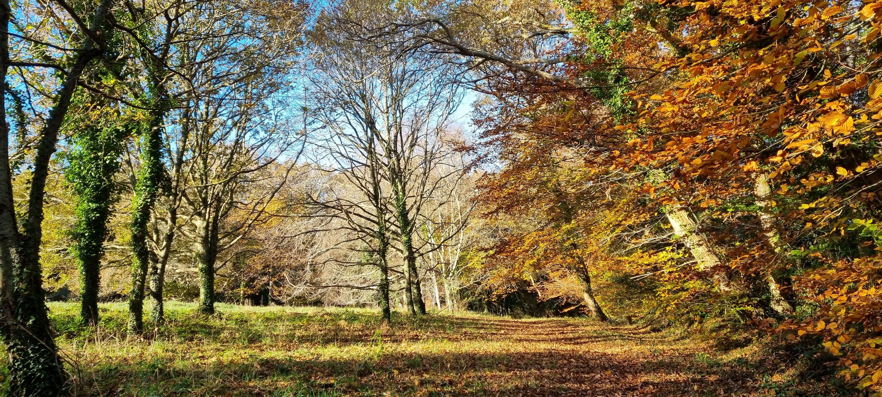 34-20211123_103058(0)