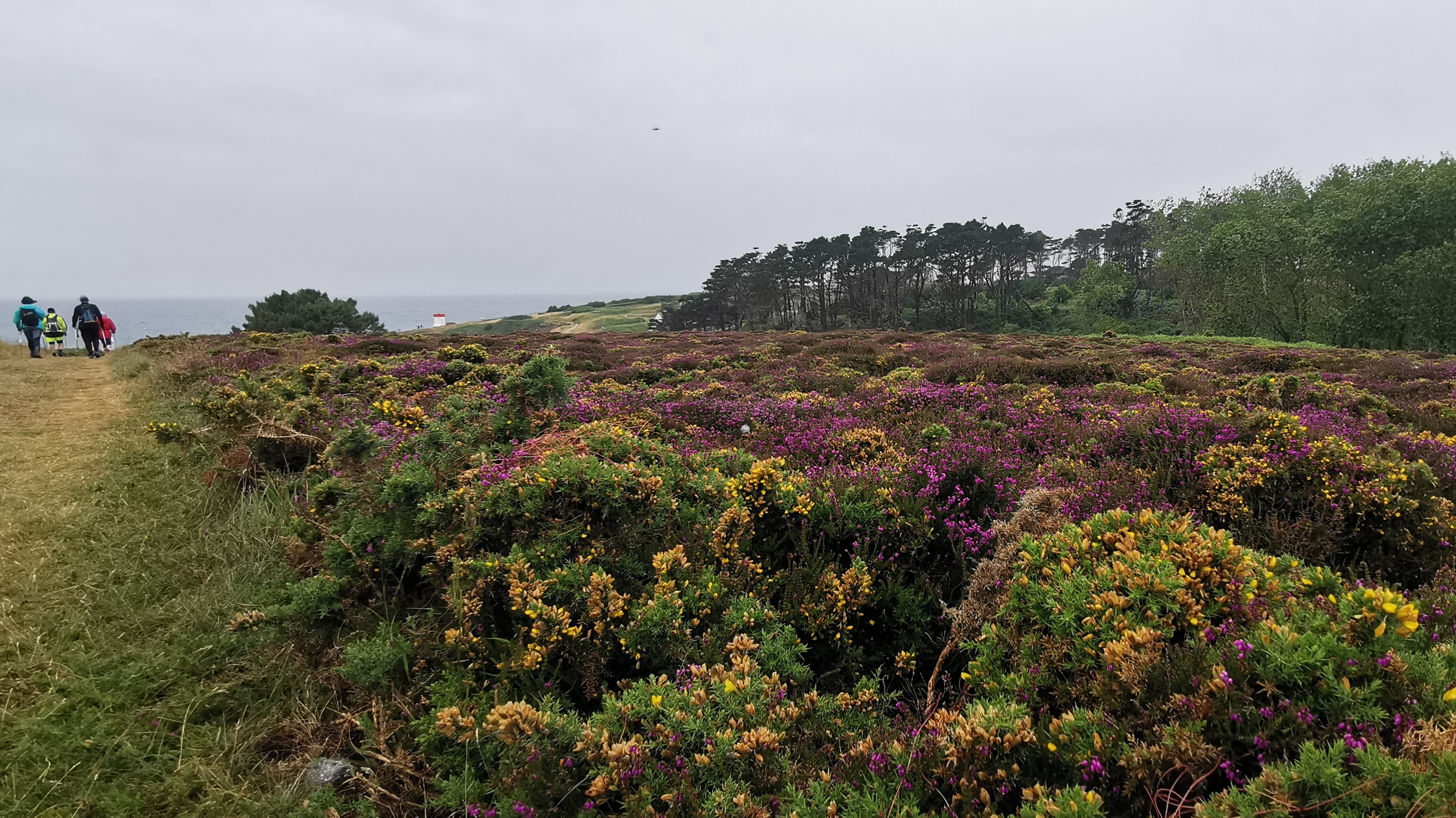 168-IMG_20210620_114941