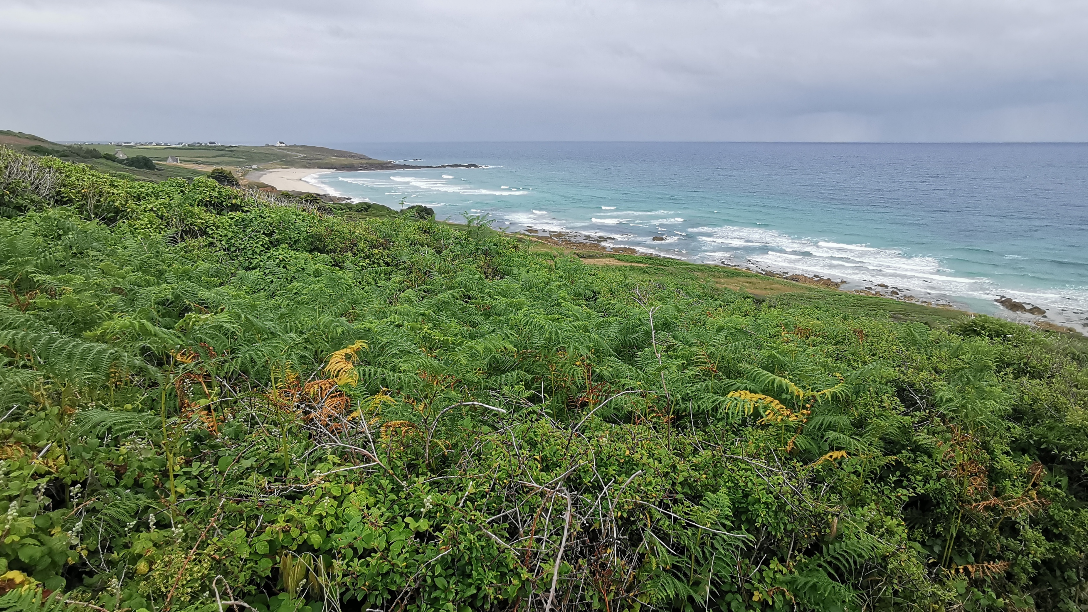 062-IMG_20210620_101156