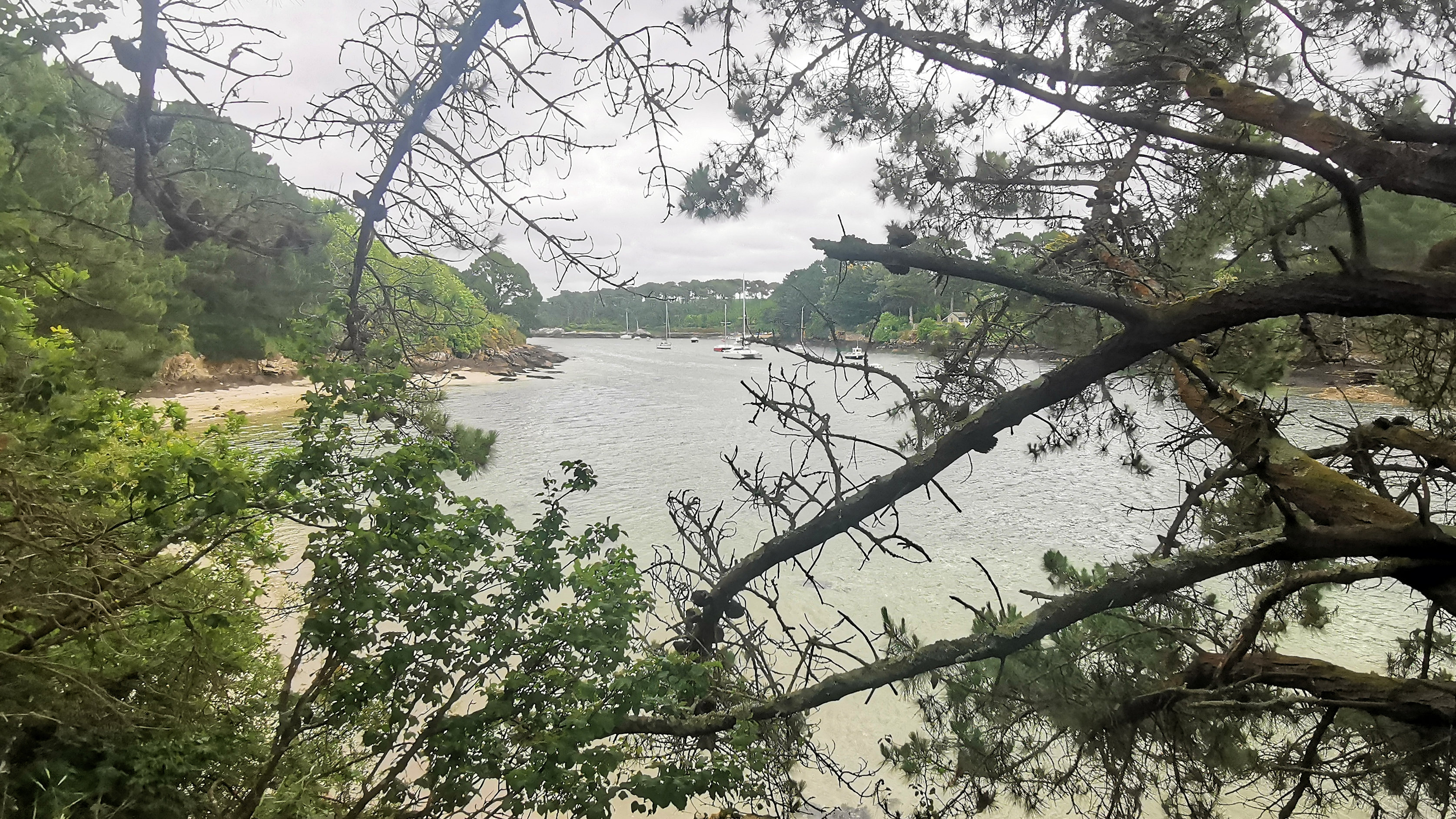 22-IMG_20210520_100104