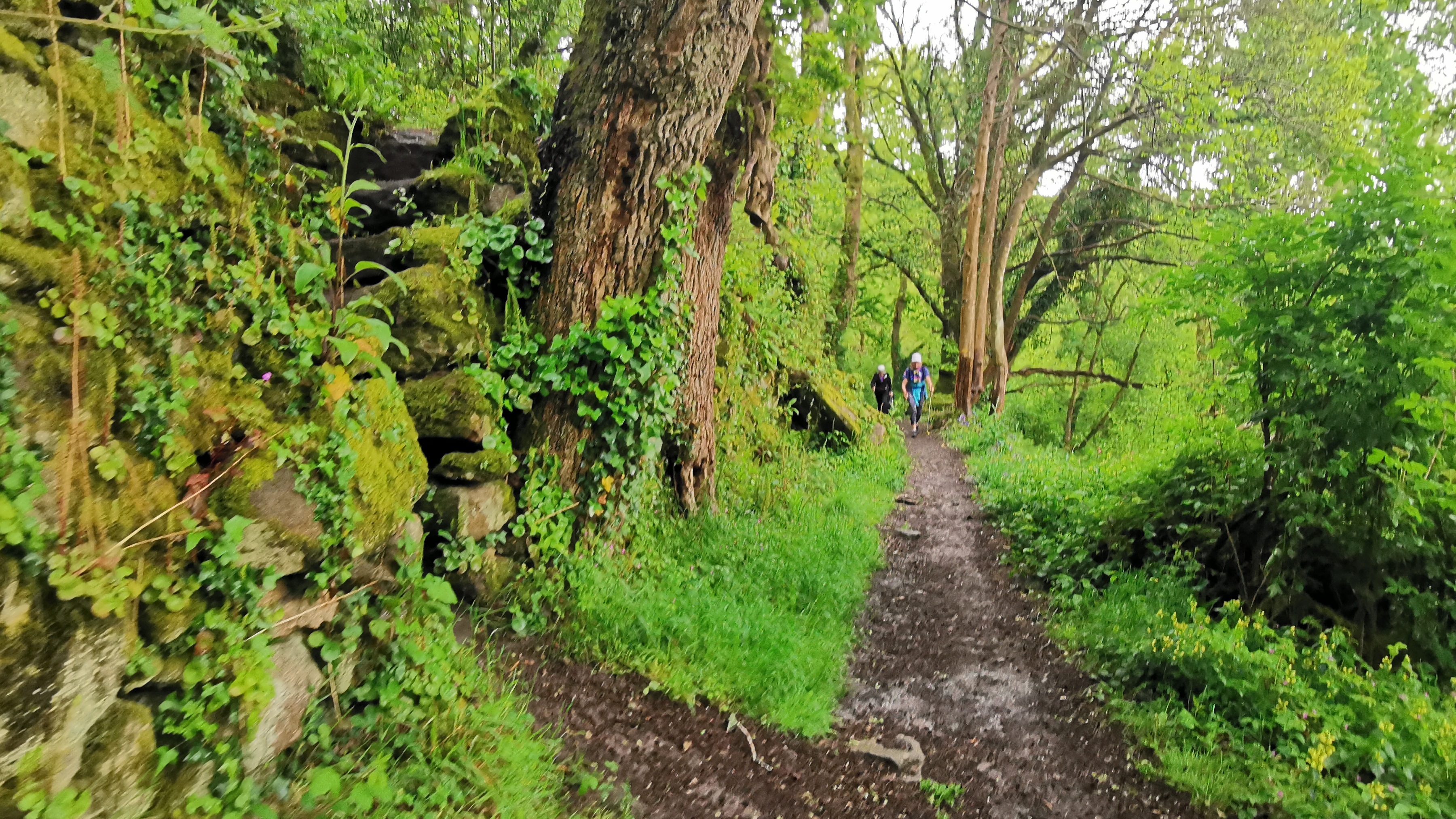 065-IMG_20210513_103553