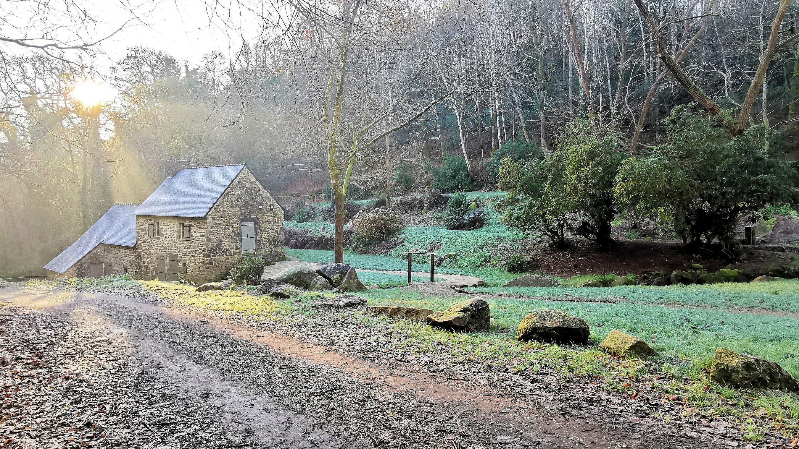 13-IMG_20210109_103618