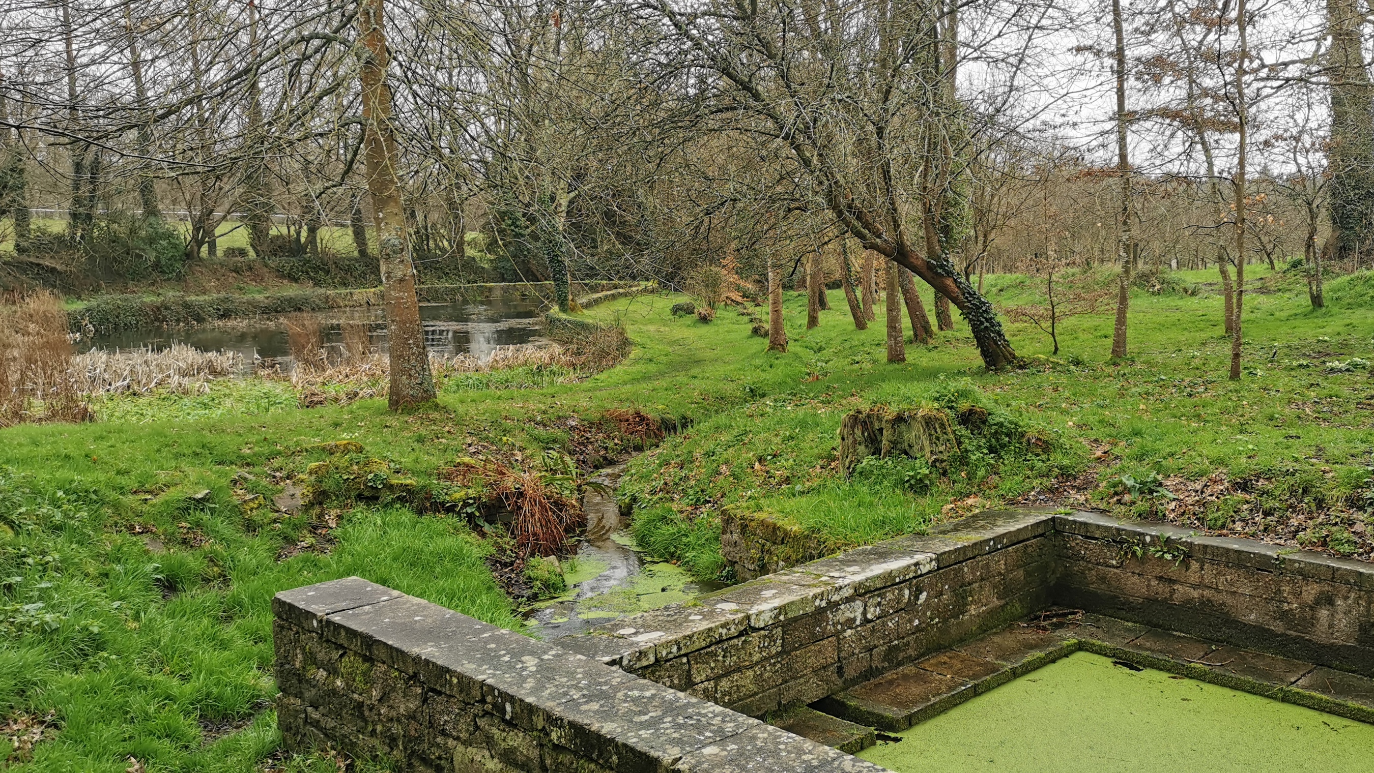 188-IMG_20210220_134721