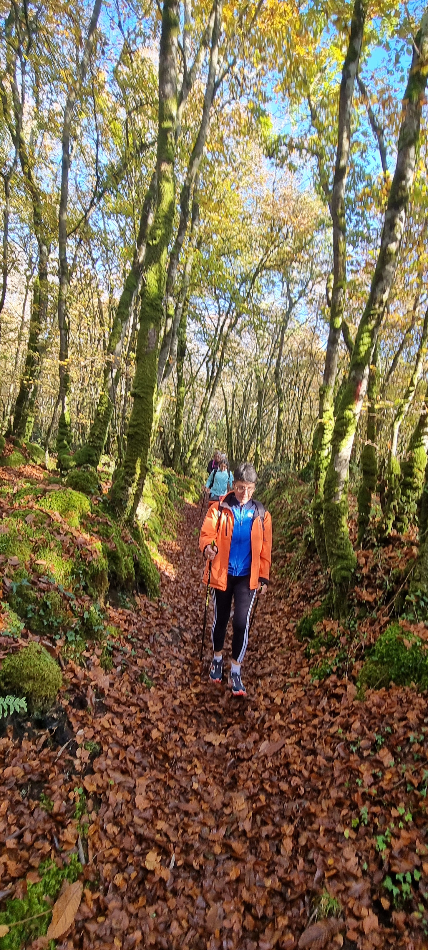 33-20211111_110536(0)