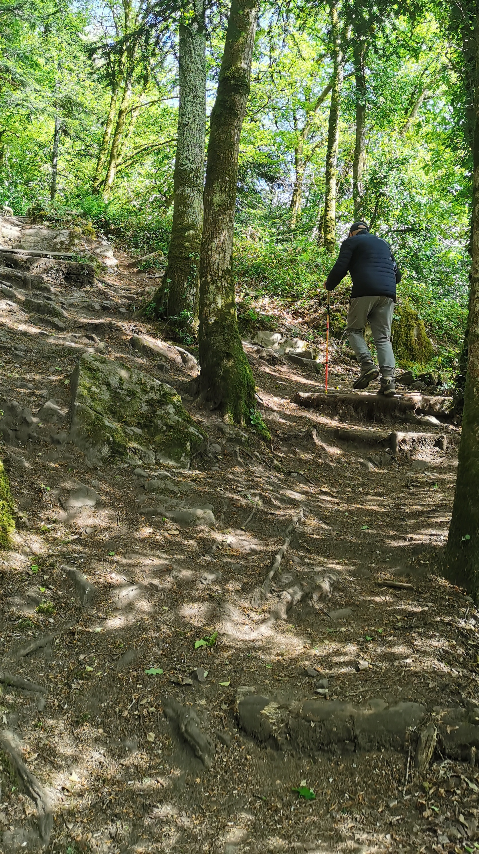 47-IMG_20210426_112636