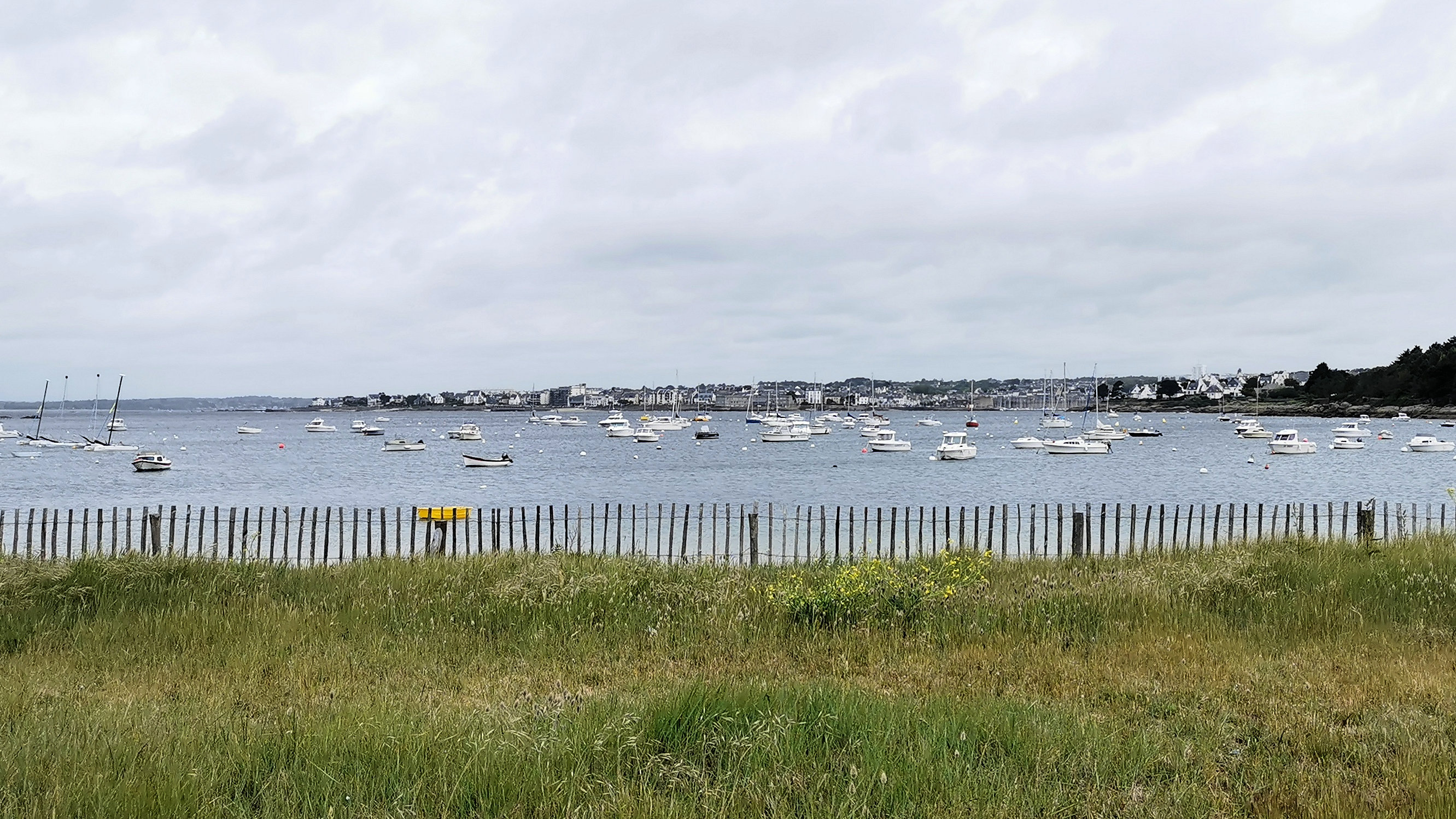 06-IMG_20210520_094527