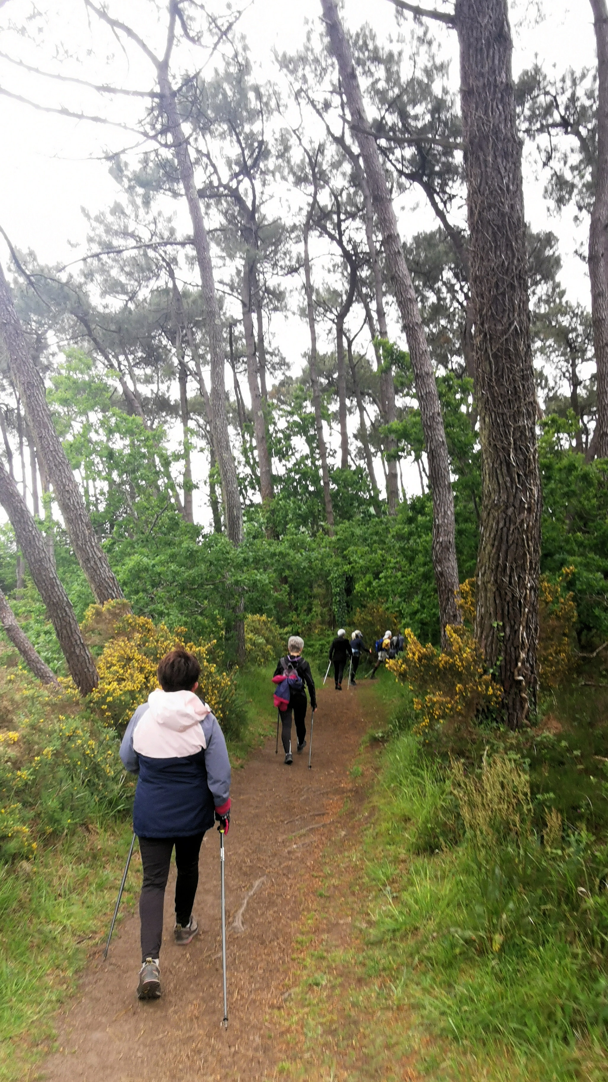 82-IMG_20210520_105817