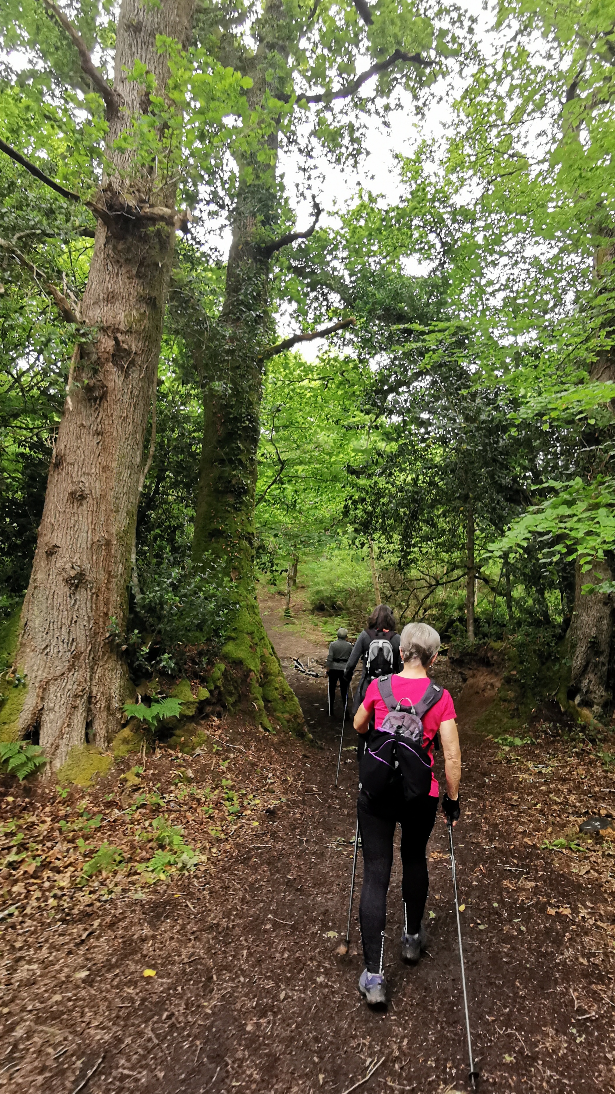 40-IMG_20210527_111338