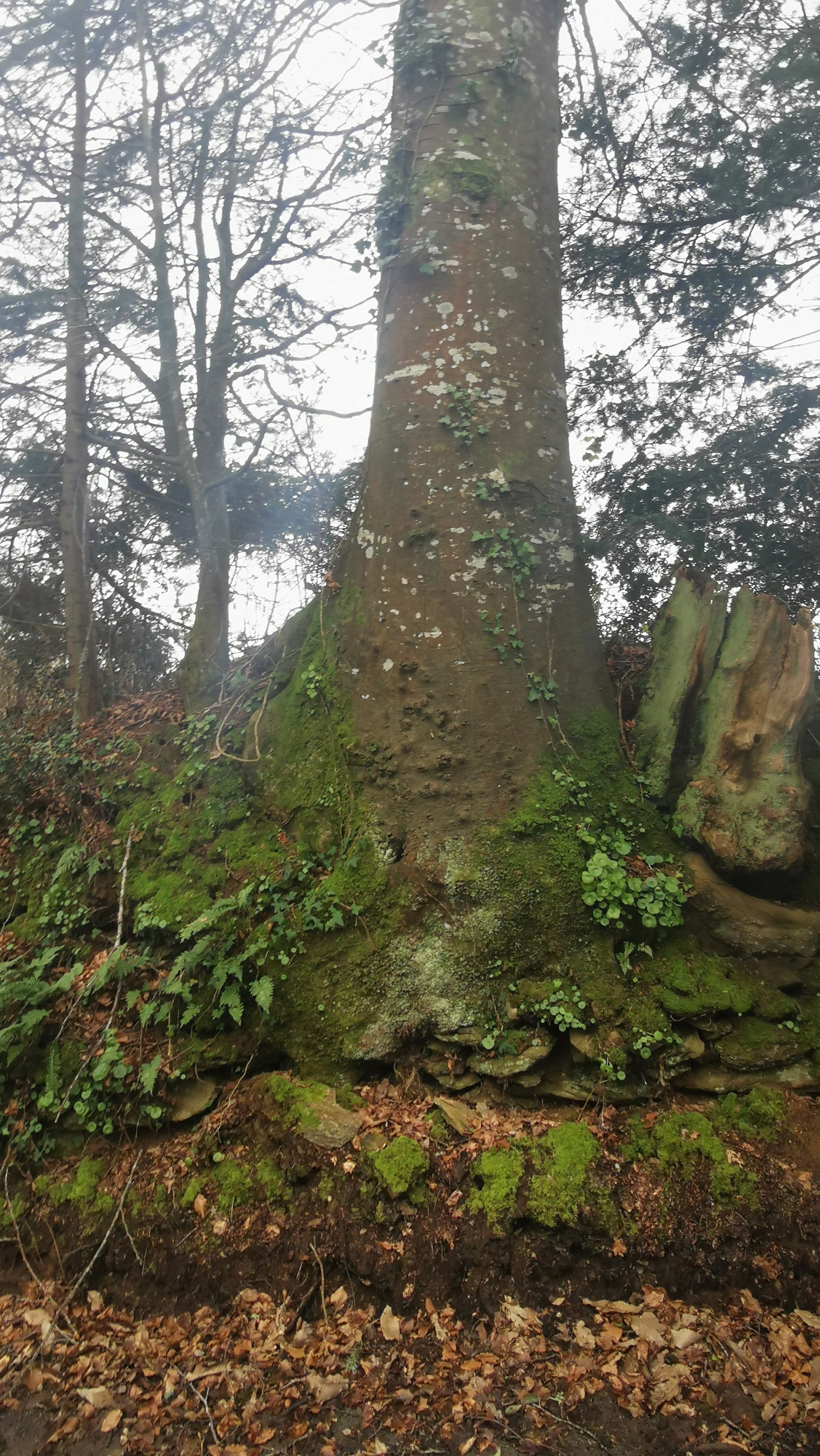 162-IMG_20210220_125539