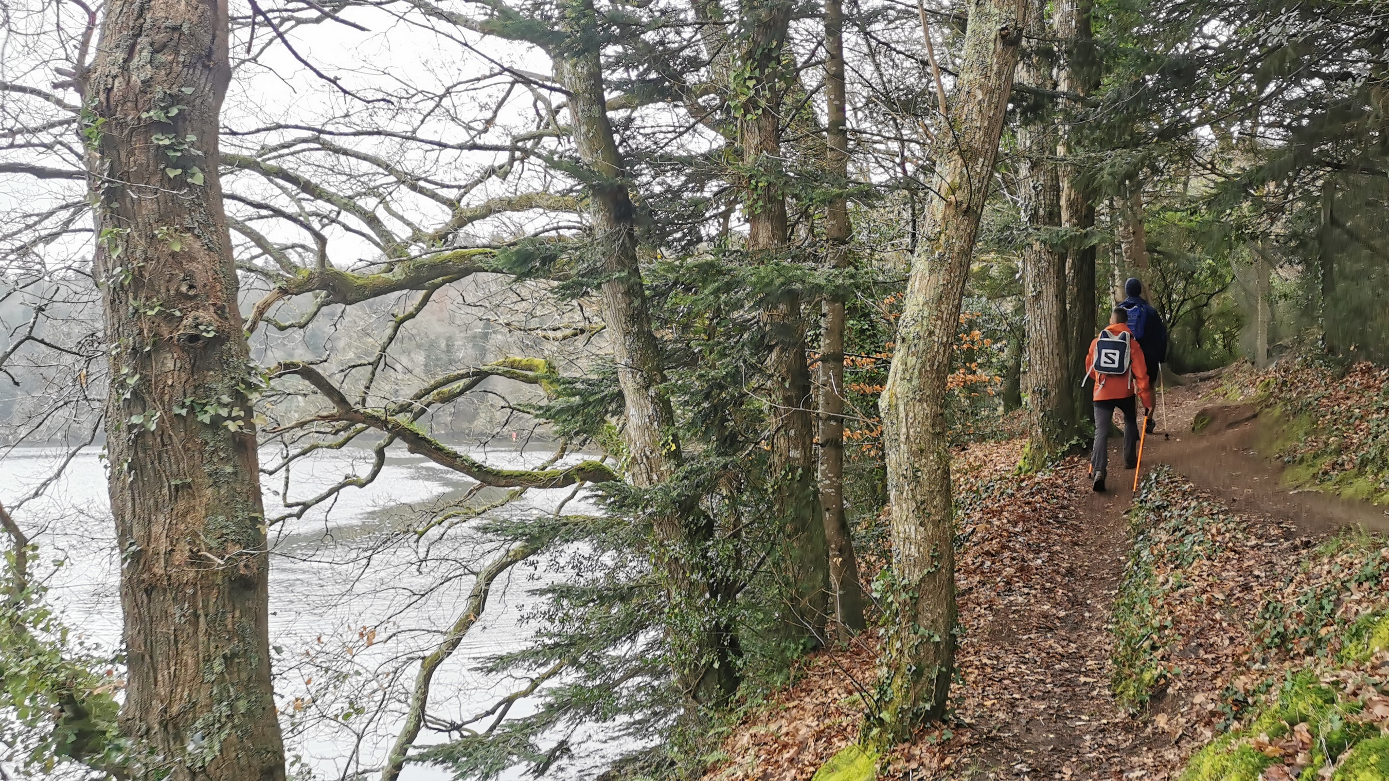 097-IMG_20210220_115125_1