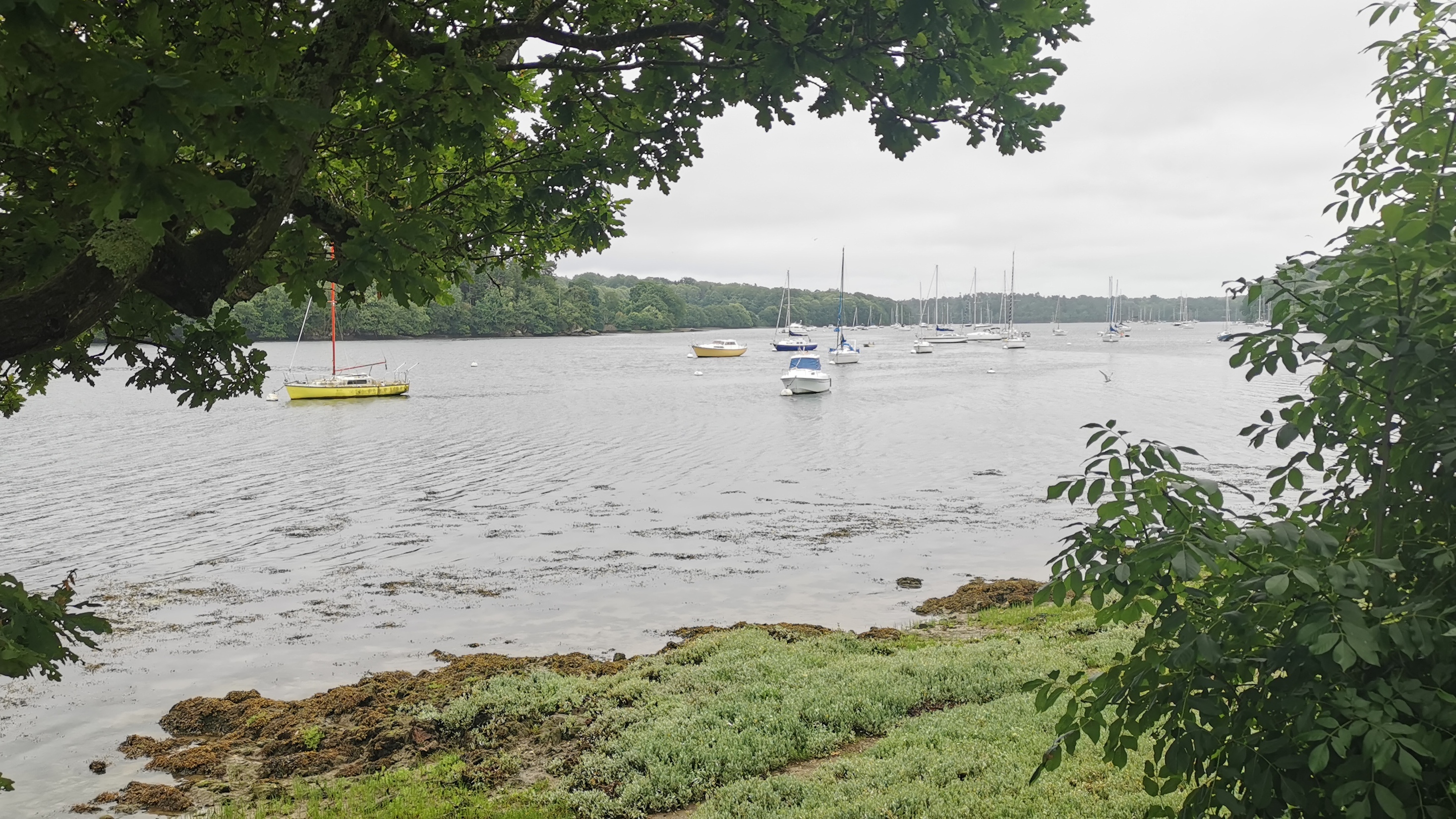 15-IMG_20210617_102634