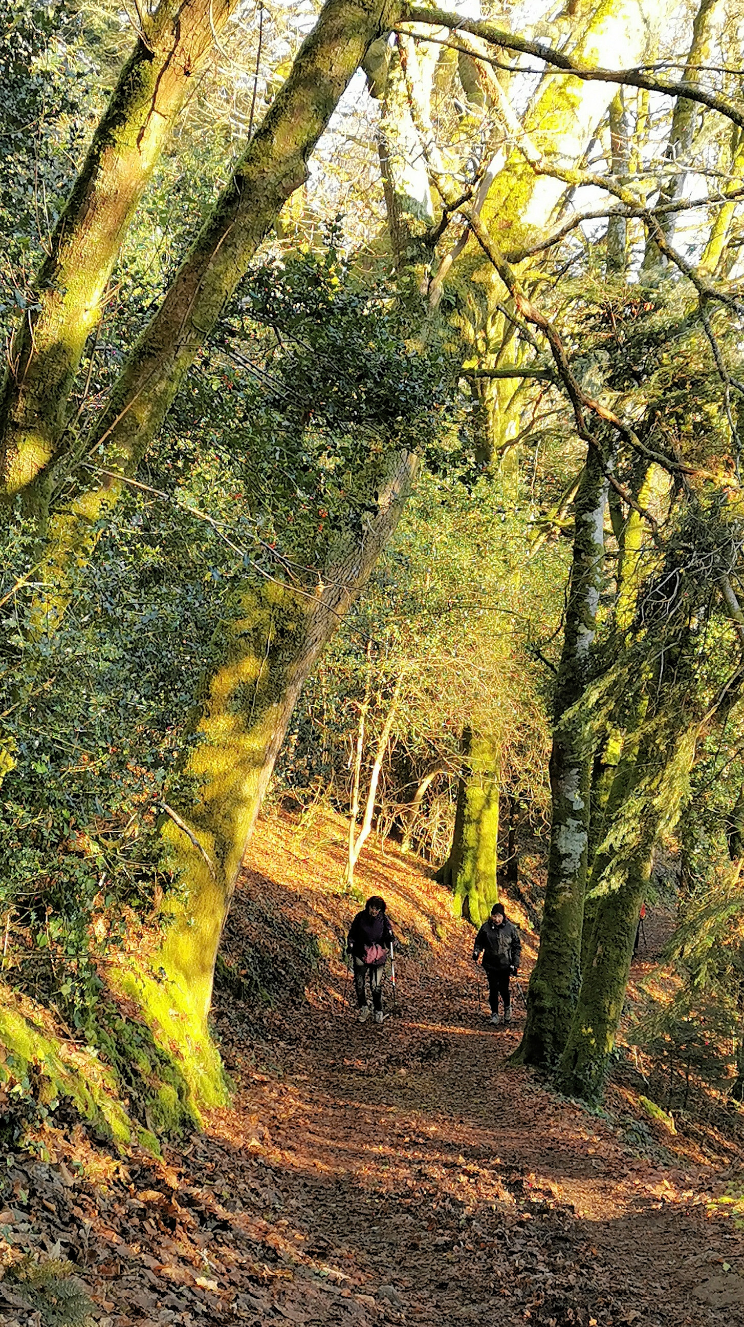 42-IMG_20210109_105939