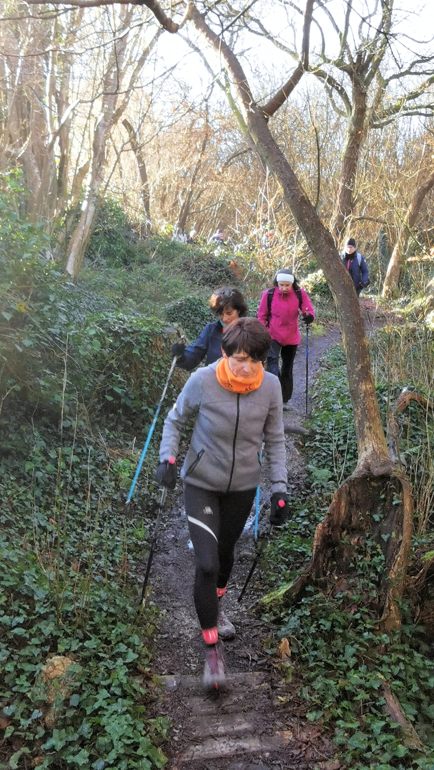 16-IMG_20210207_100032_1