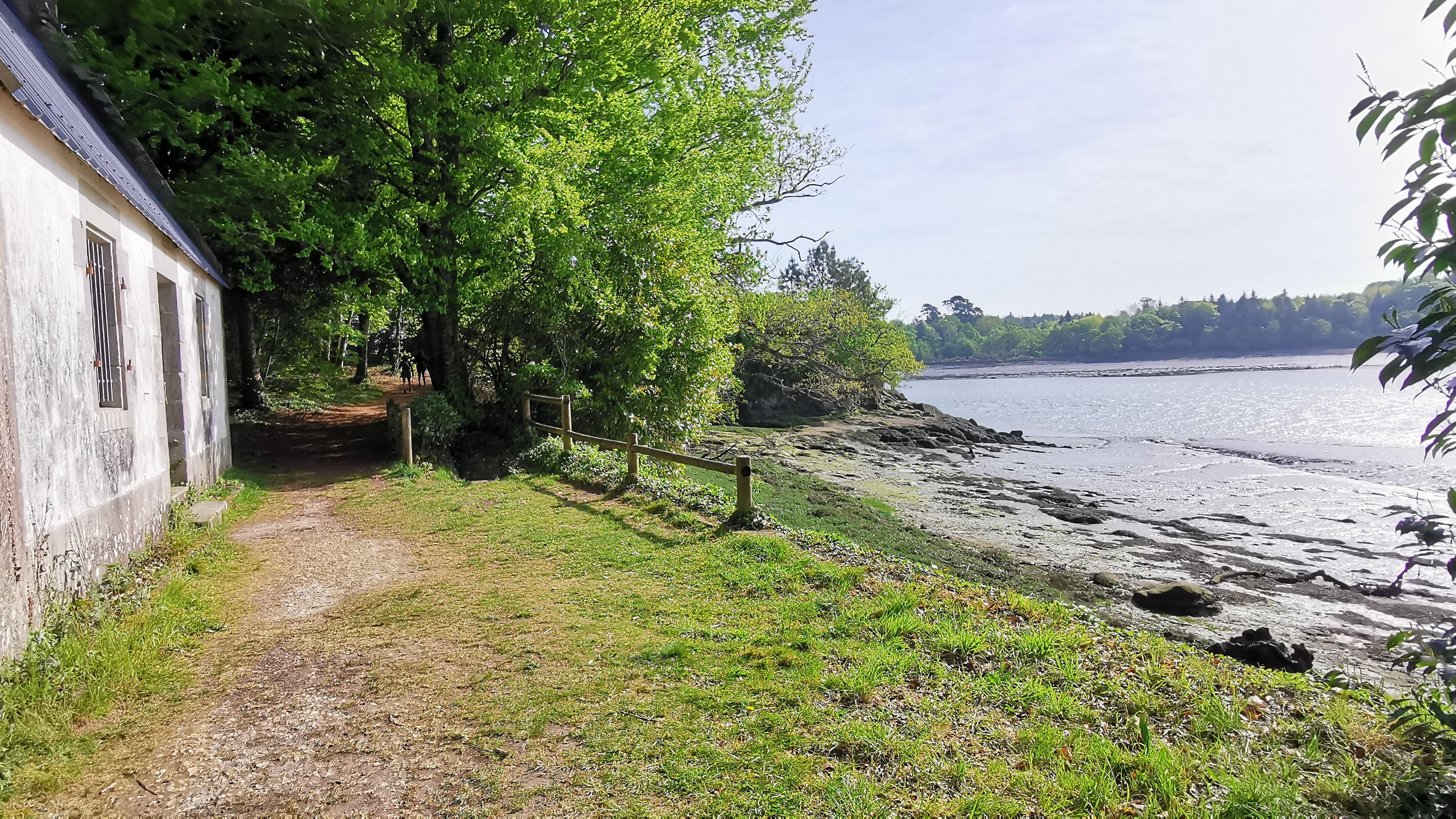 39-IMG_20210425_104655_1