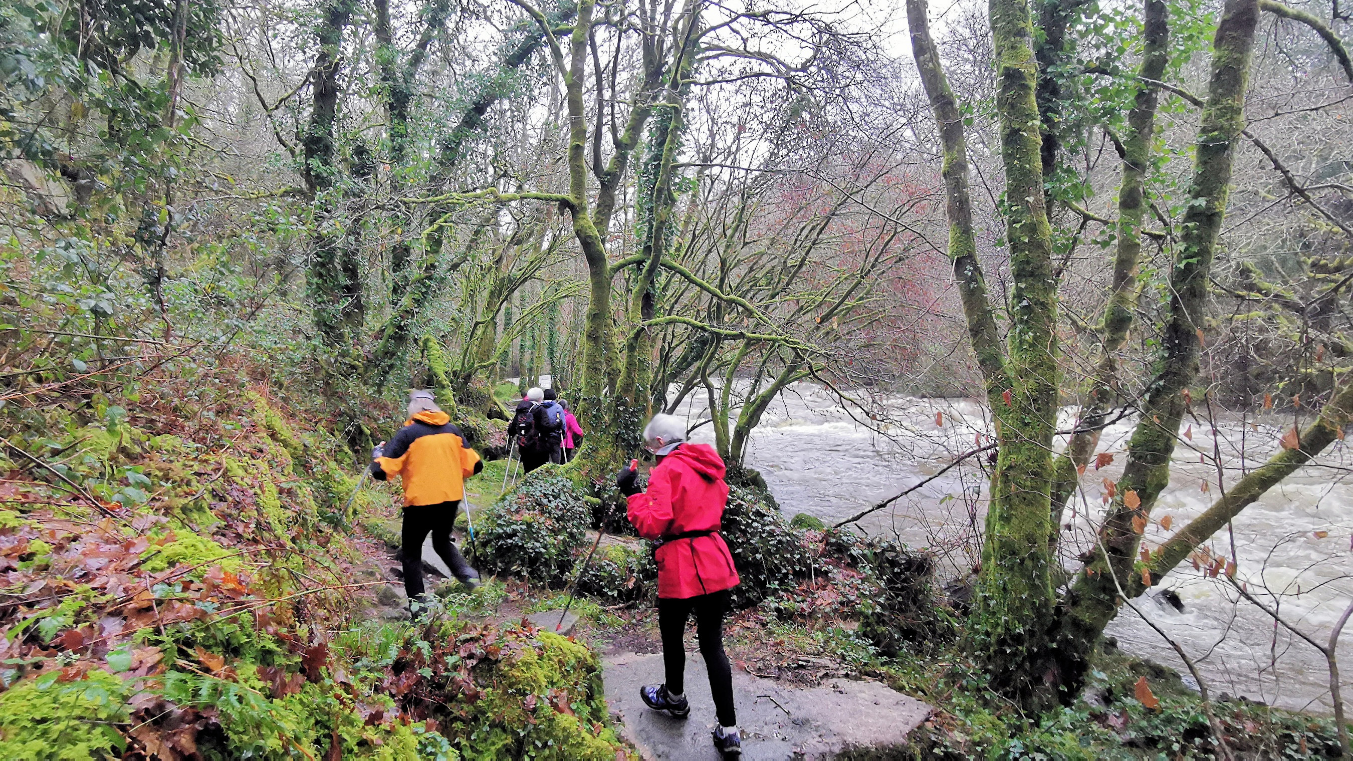 06-IMG_20210121_095846_1