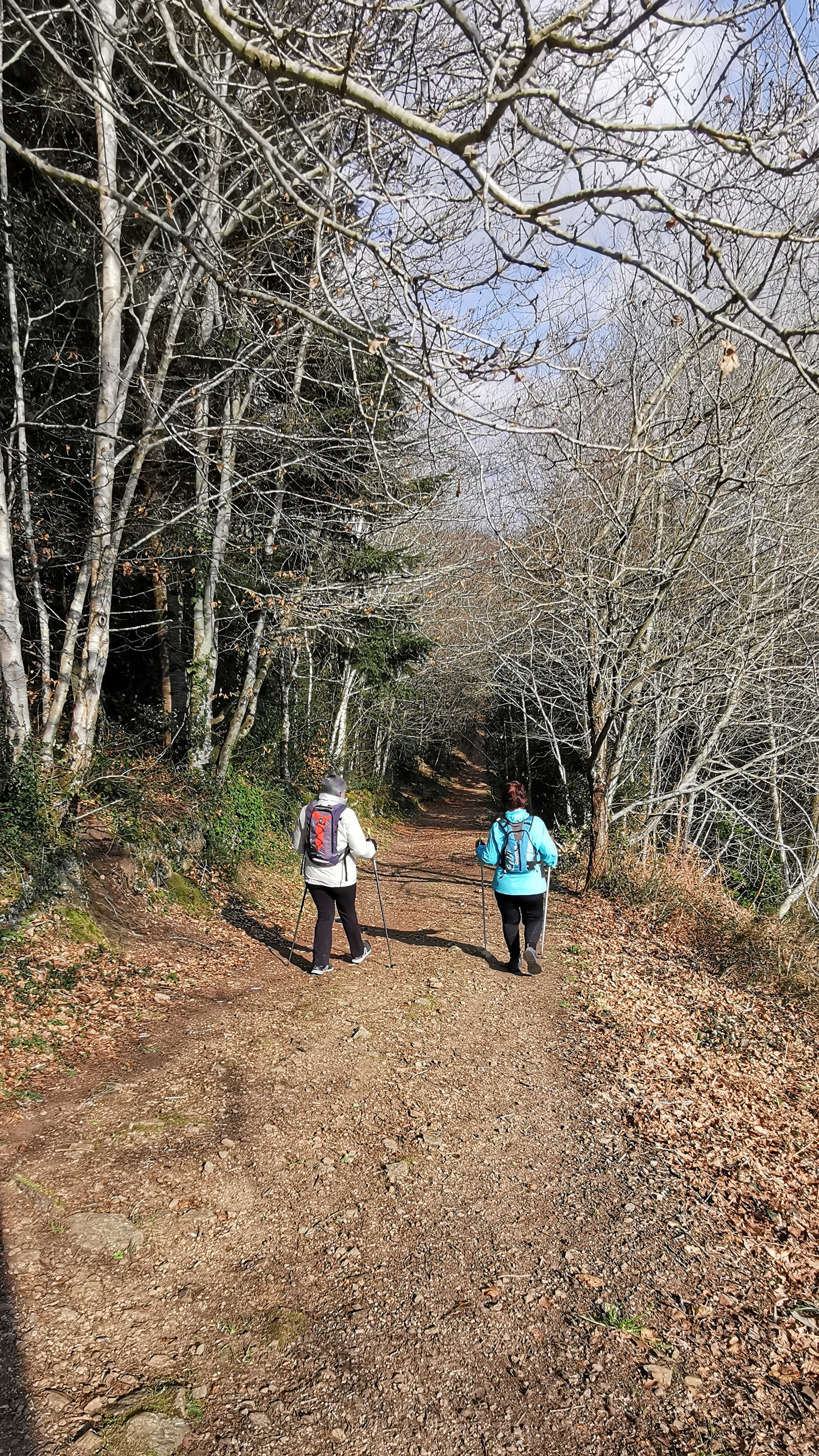 72-IMG_20210308_114554