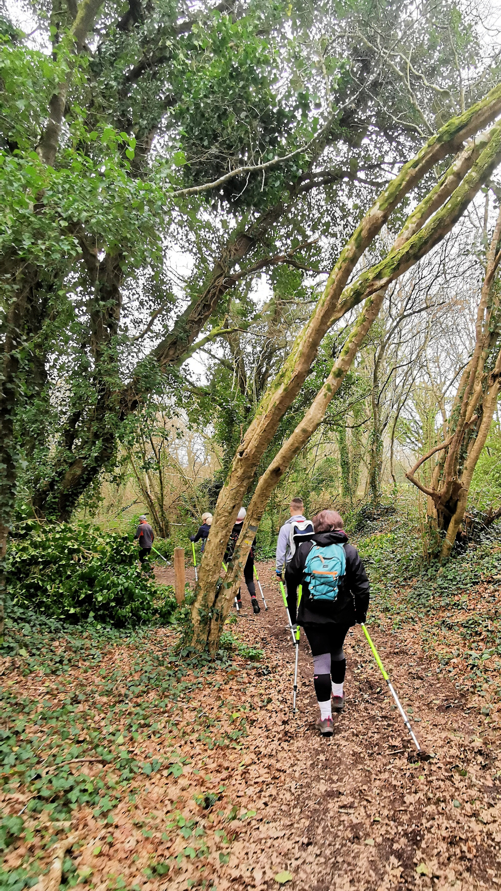 52-IMG_20210302_102841