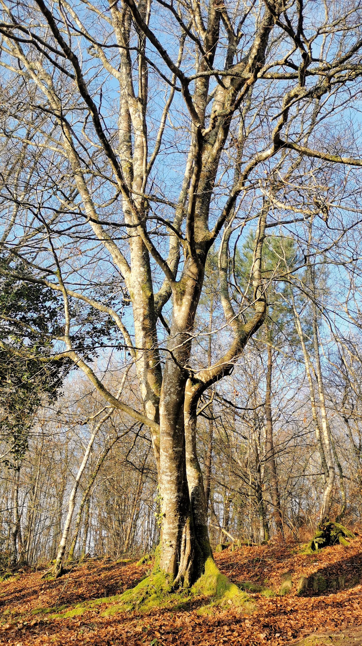 37-IMG_20210107_104347