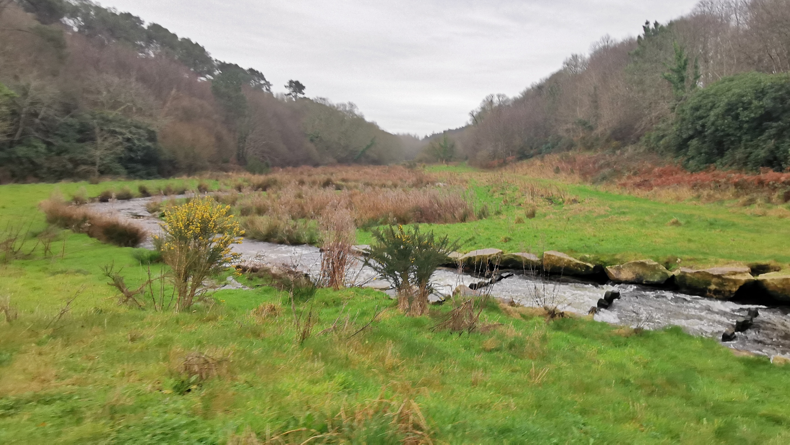 007-IMG_20210220_092428