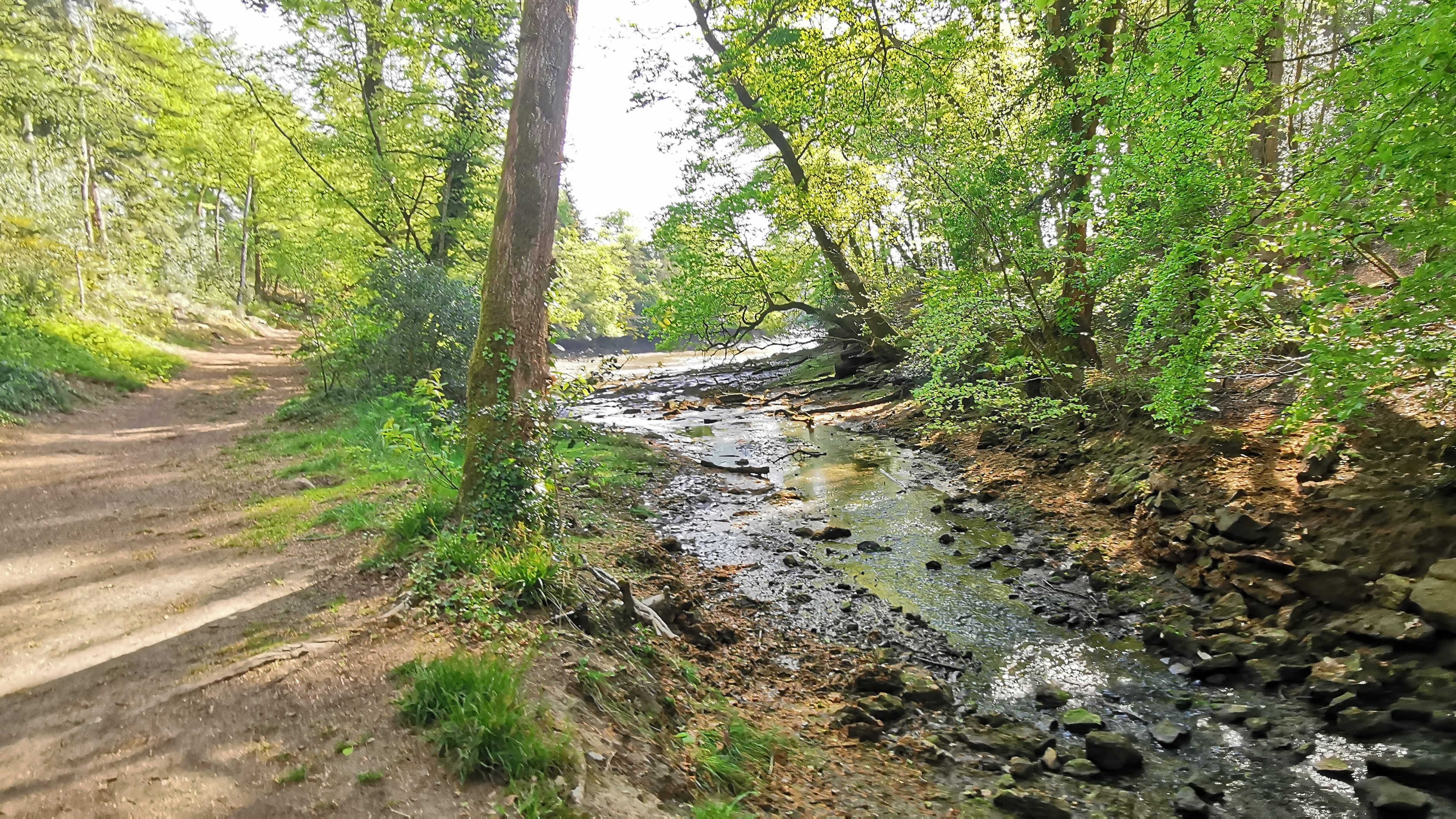 10-IMG_20210426_104248